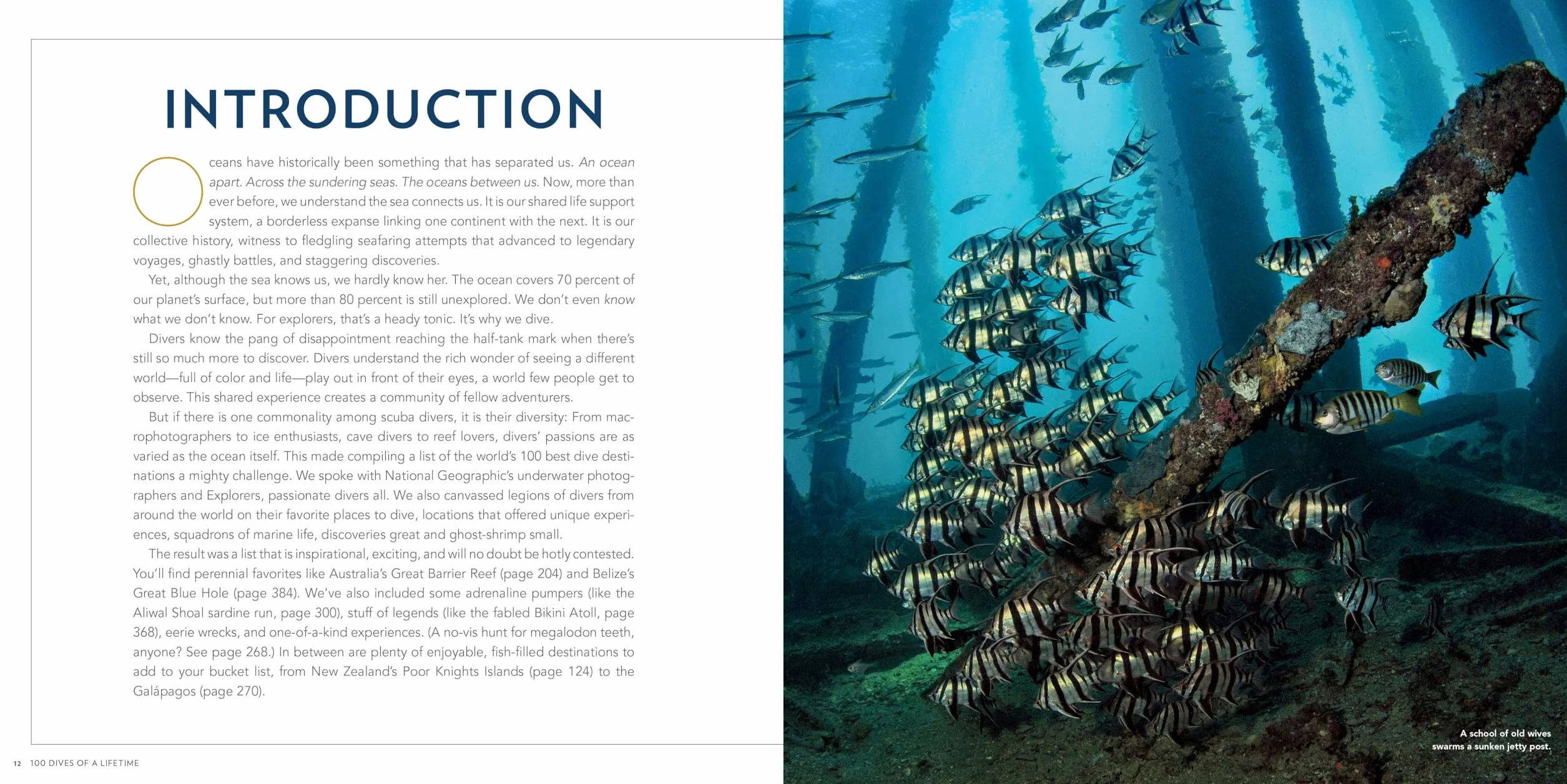 100 Dives of a Lifetime: The World's Ultimate Underwater Destinations