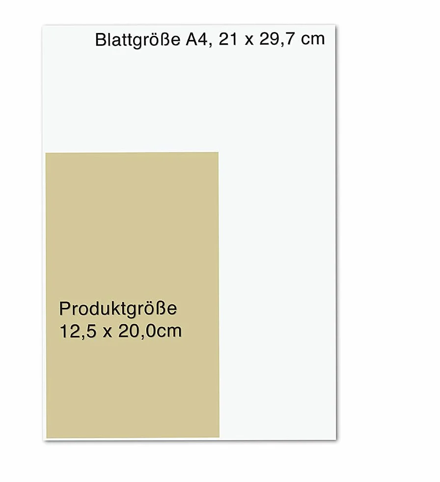 Blase gut - alles gut: Navigator für das Herz im Unterleib bei Entzündungen, Inkontinenz, Harndrang