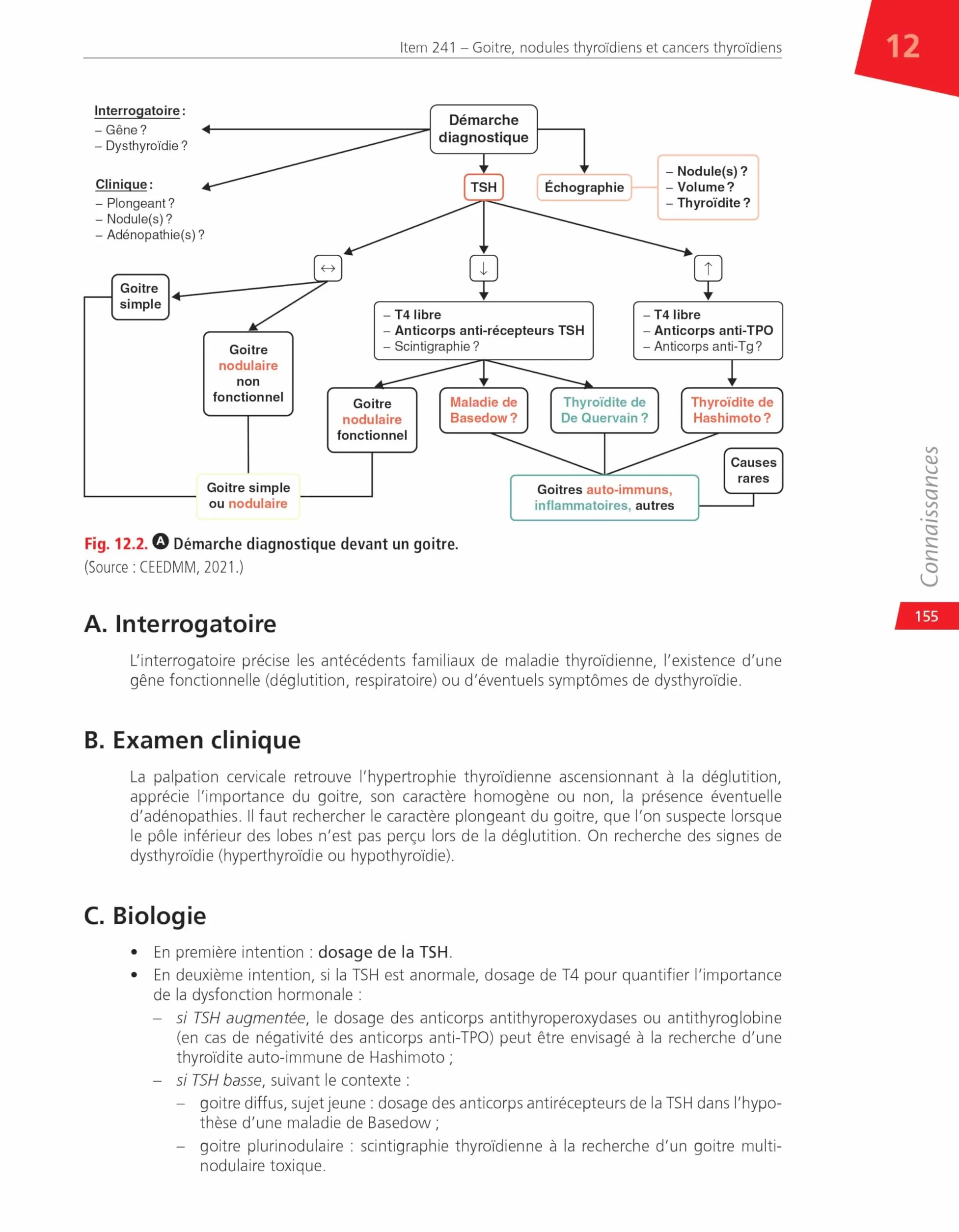 Endocrinologie, diabétologie et maladies métaboliques: Réussir ses EDN