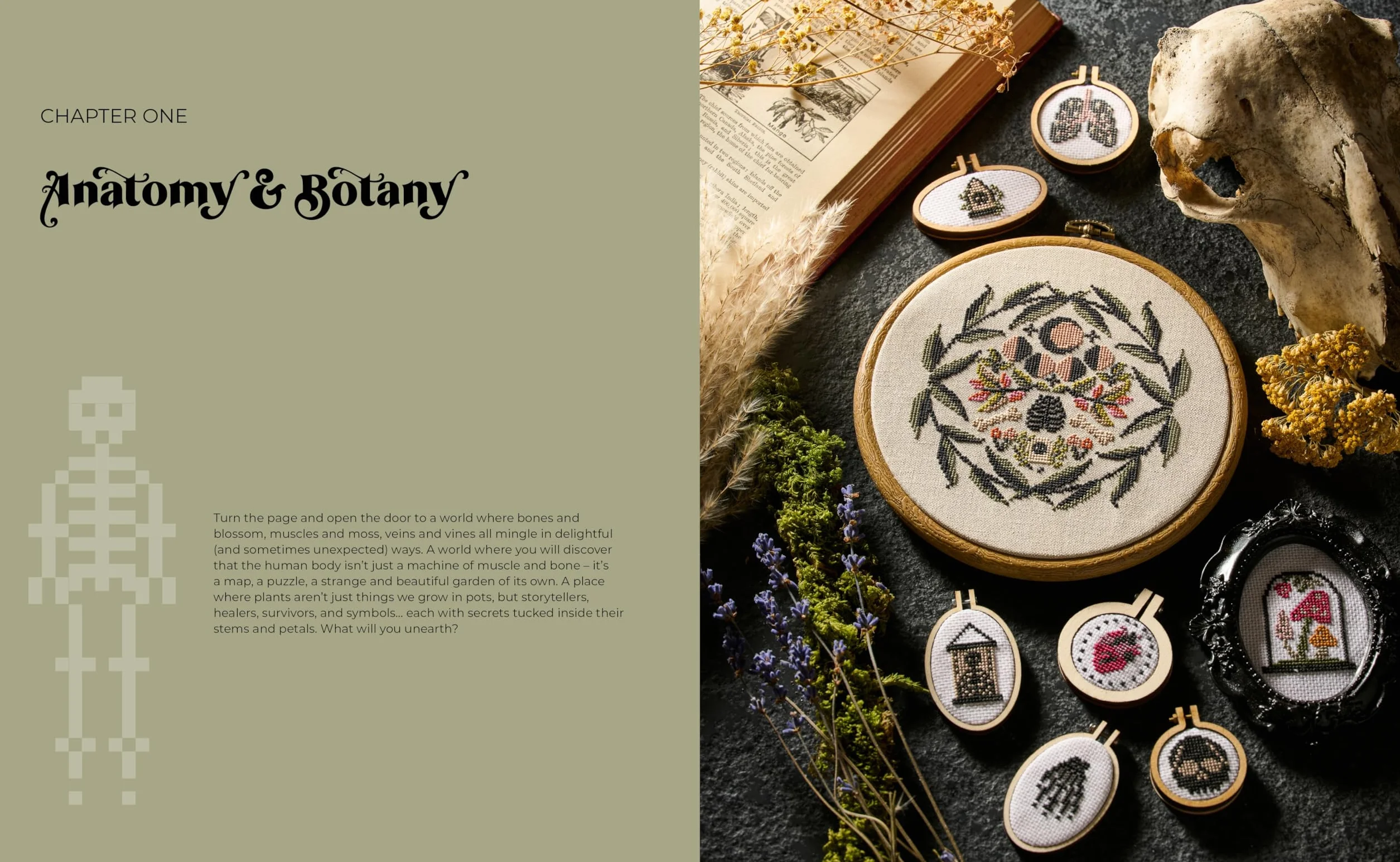 Cross Stitch Cabinet of Curiosities: 500 Magical Motifs and Peculiar Patterns