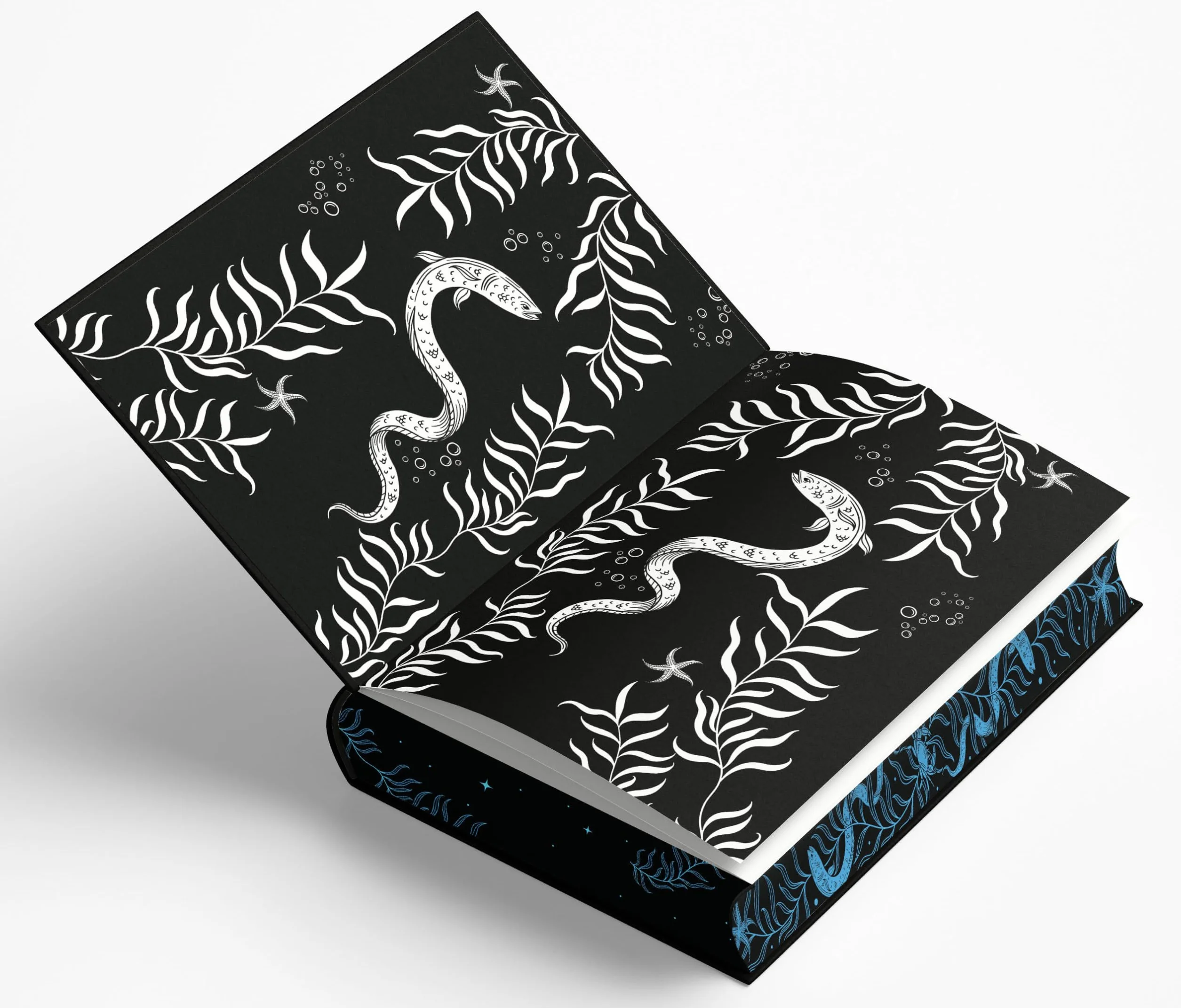 Styx Deluxe Limited Edition: The River 2