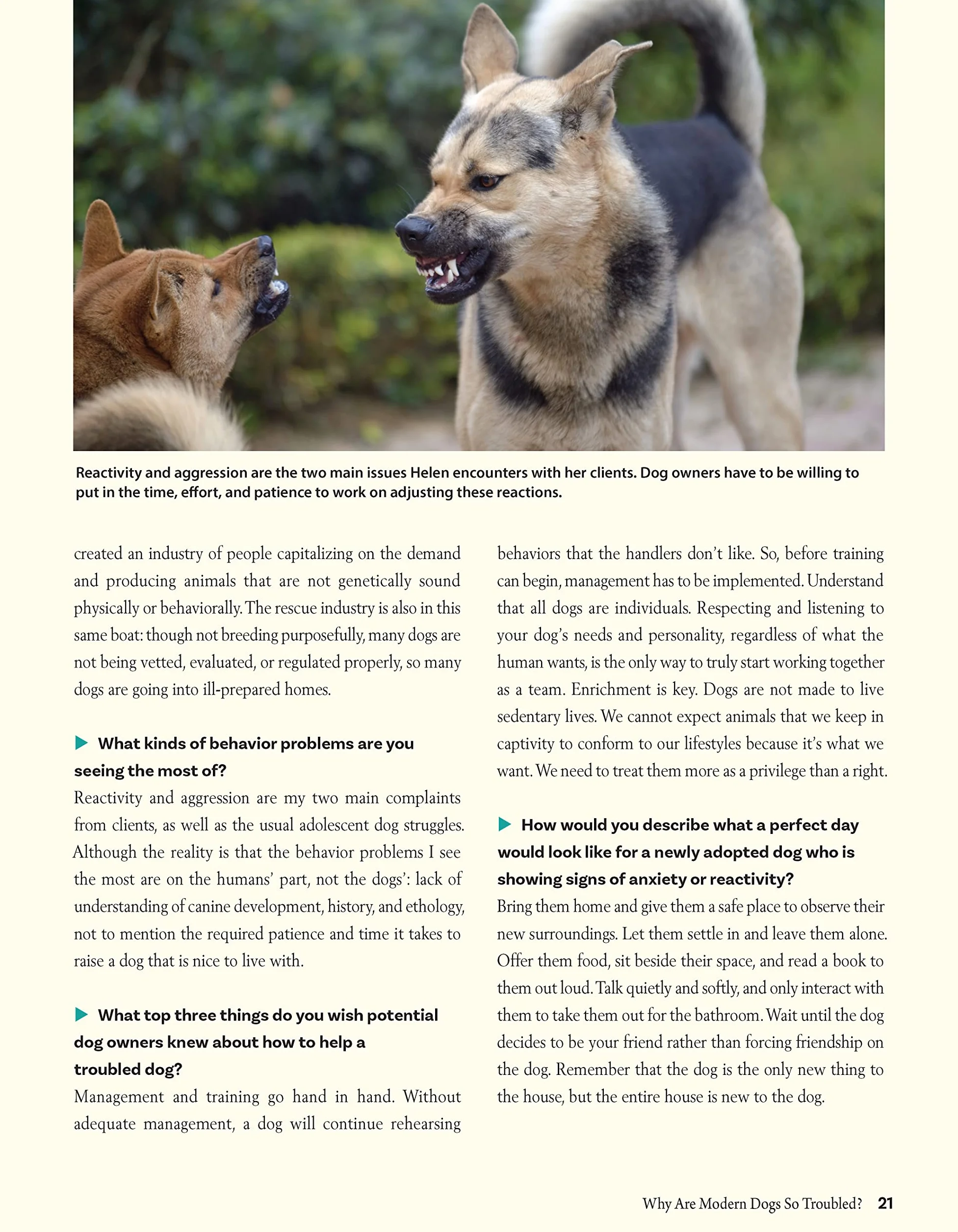 Positive Training for Aggressive and Reactive Dogs: Proven Techniques to Help Your Dog Overcome Fear and Anxiety
