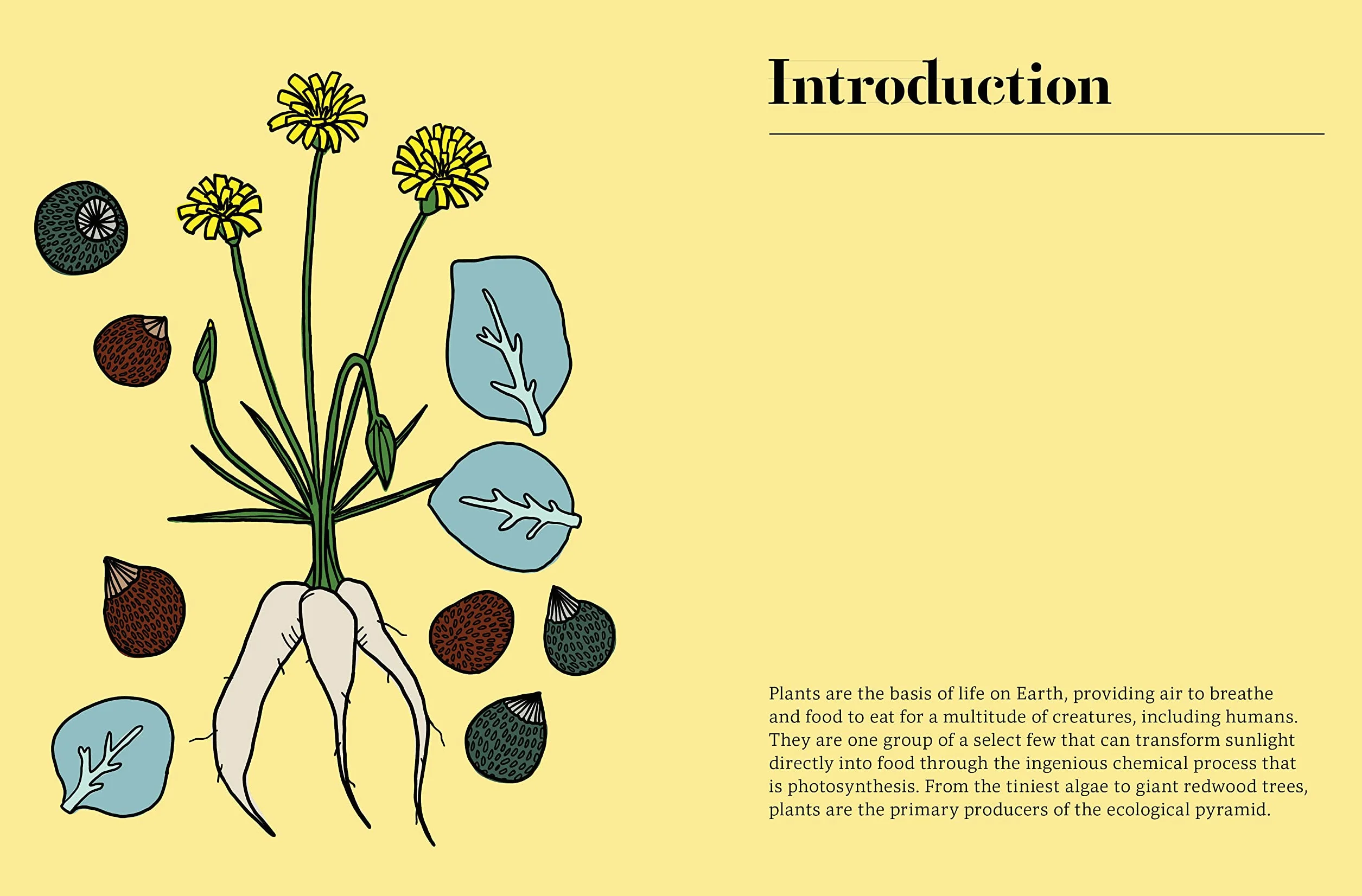 Edible : 70 Sustainable Plants That Are Changing How We Eat /anglais