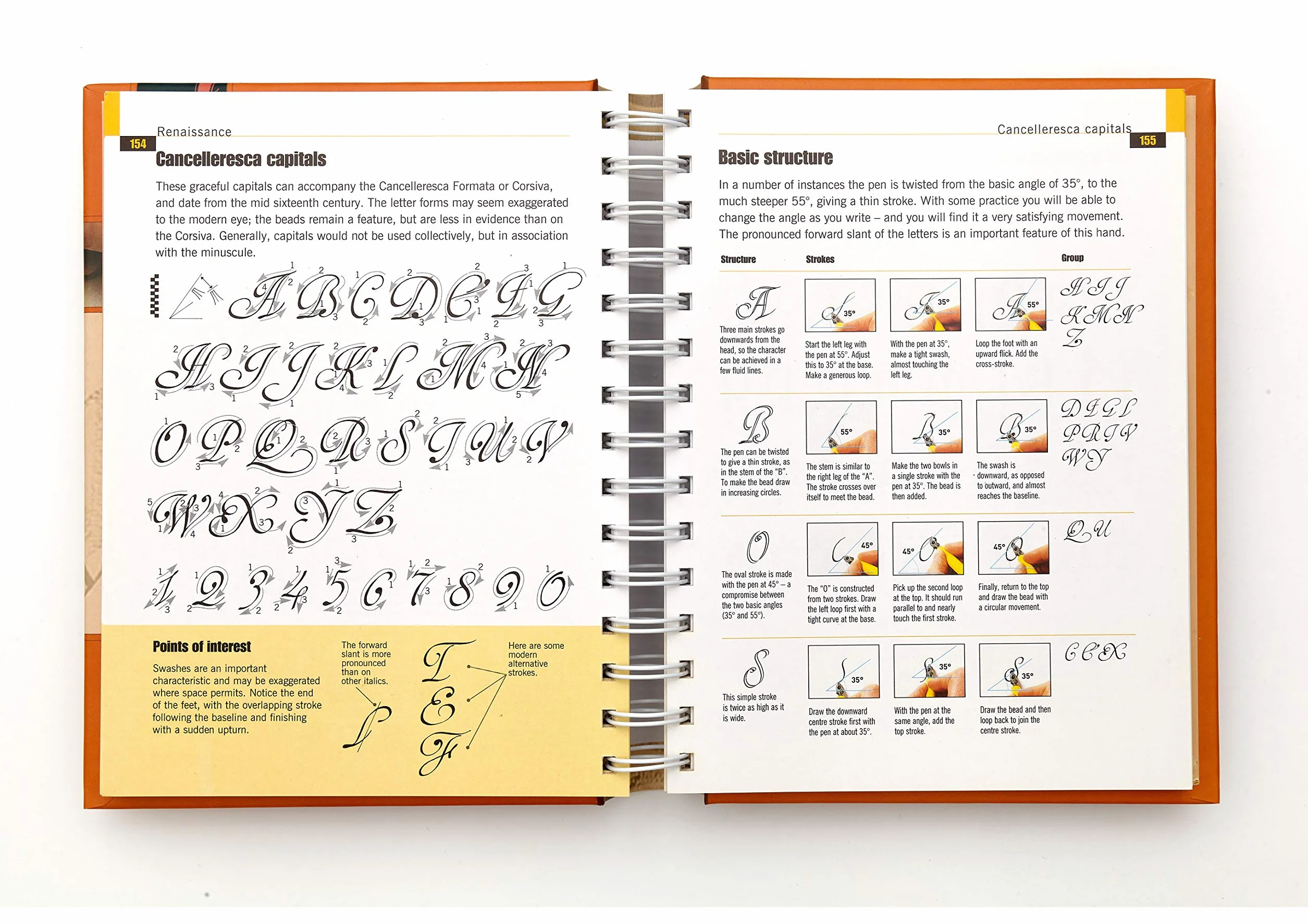 The Calligrapher's Bible: 100 Complete Alphabets and How to Draw Them