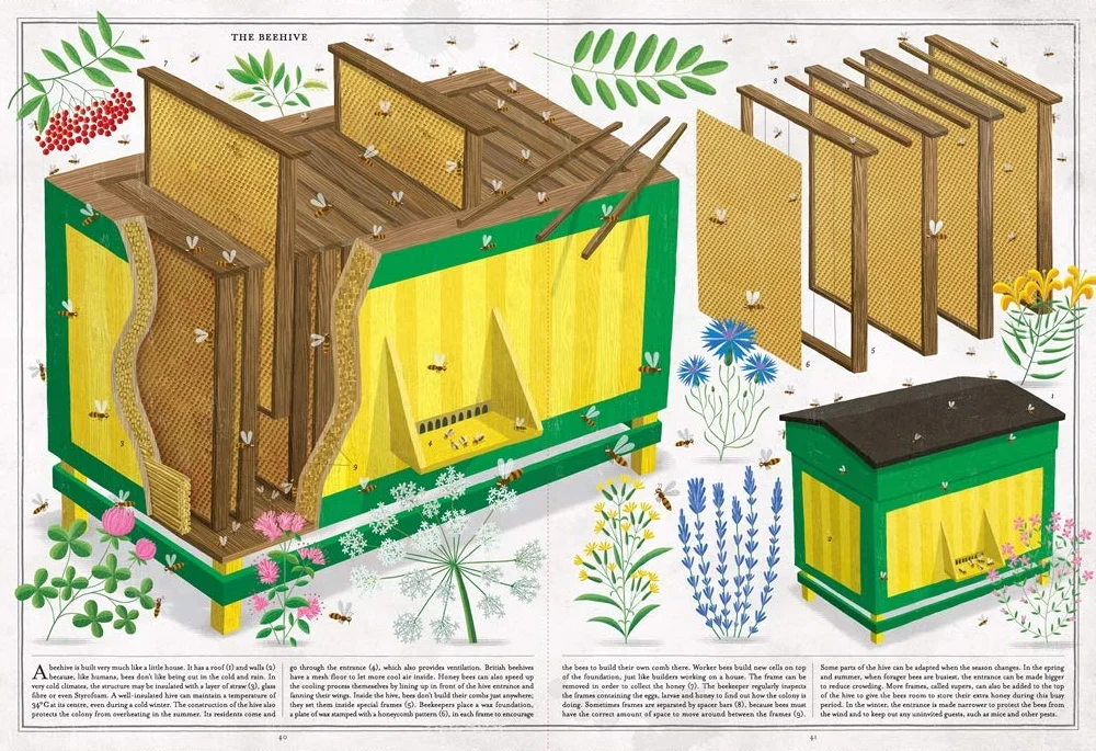 The Book of Bees! /anglais