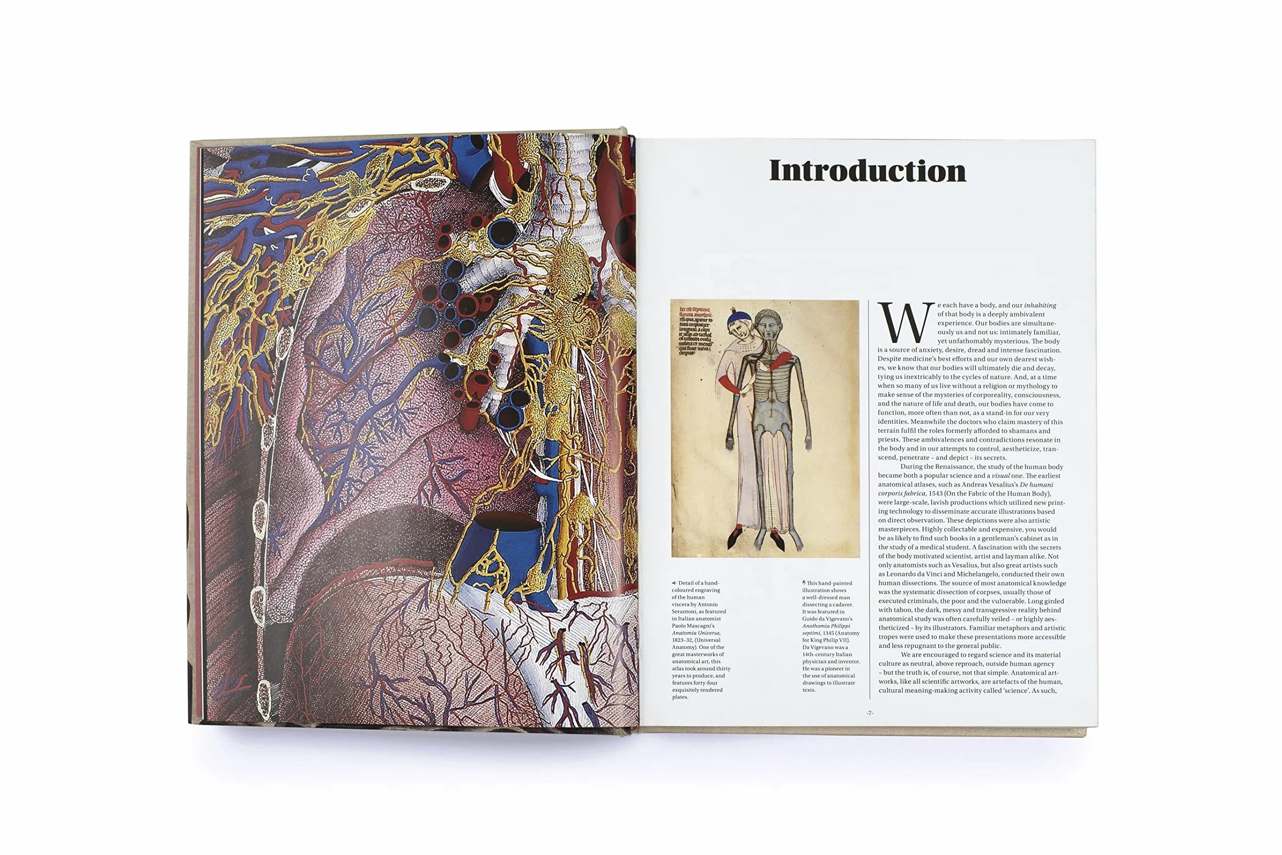 Anatomica: The Exquisite and Unsettling Art of Human Anatomy