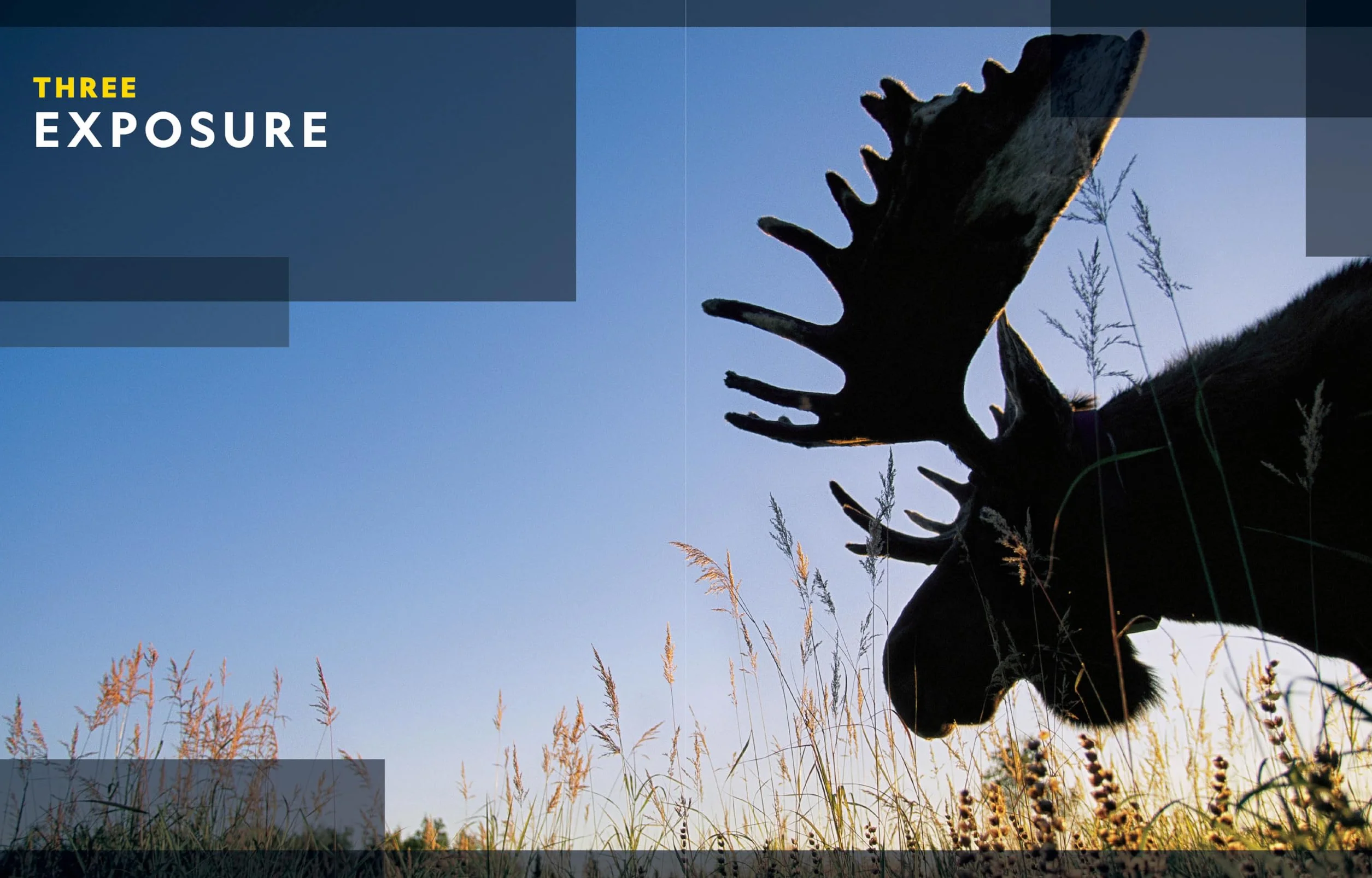 National Geographic Photo Basics: The Ultimate Beginner's Guide to Great Photography
