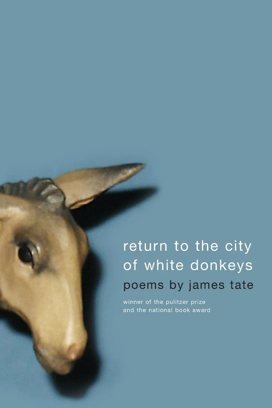 Return to the City of White Donkeys: Poems