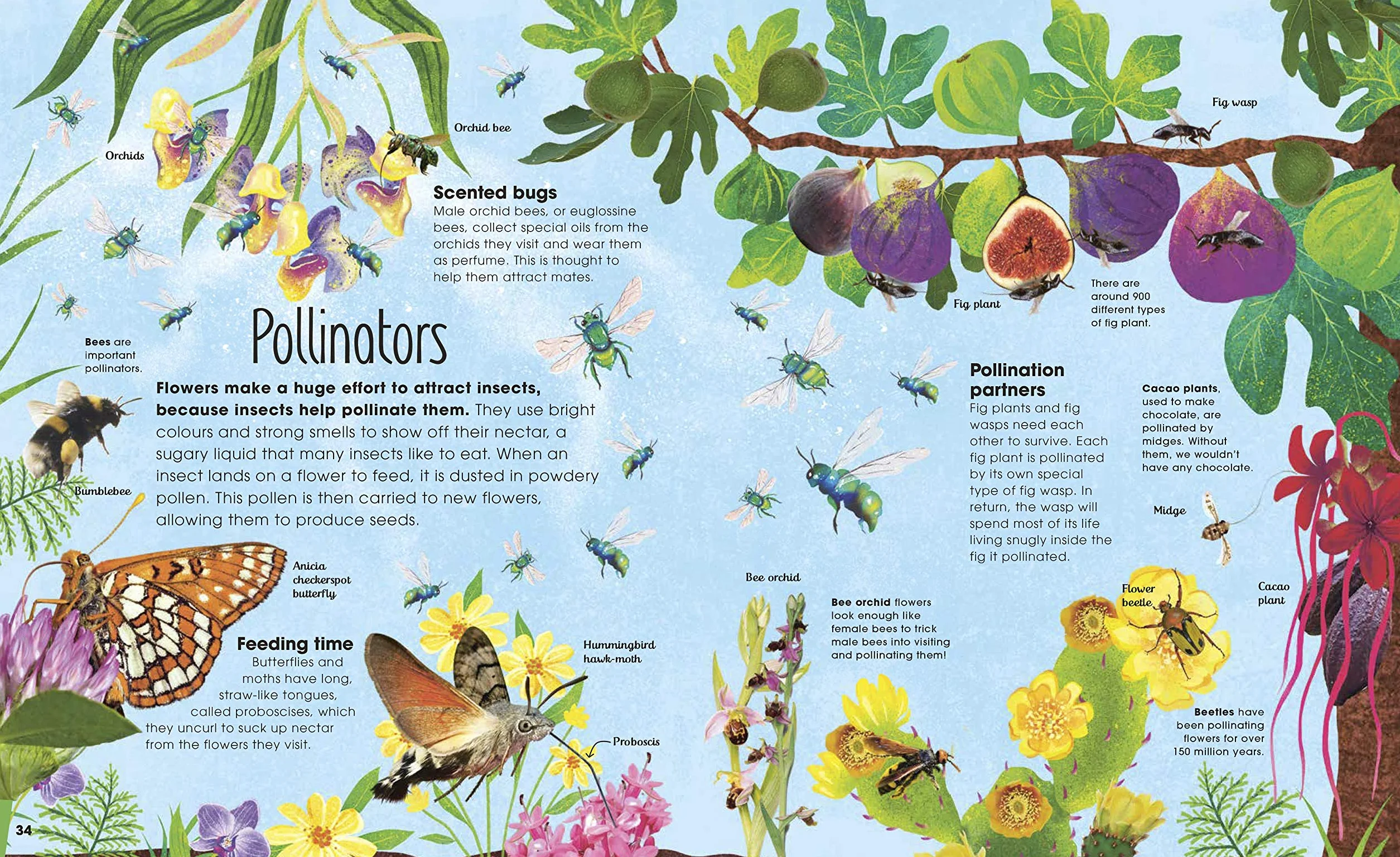 The Book of Brilliant Bugs