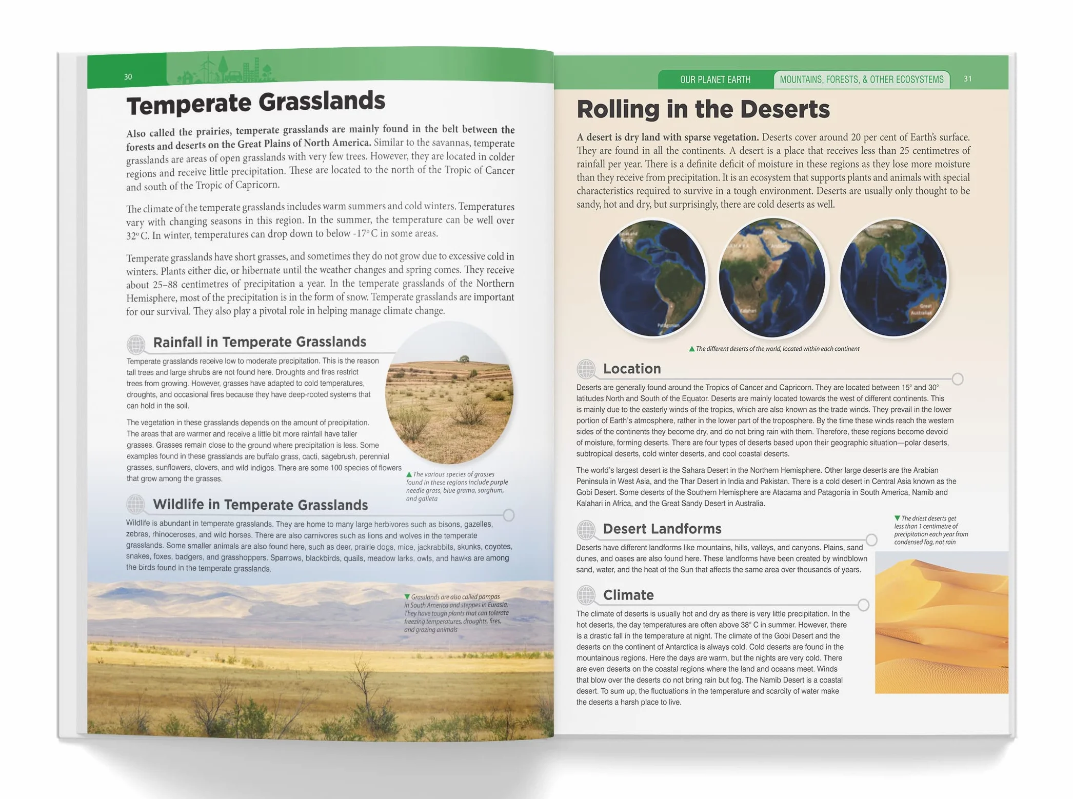Knowledge Encyclopedia: Our Planet Earth