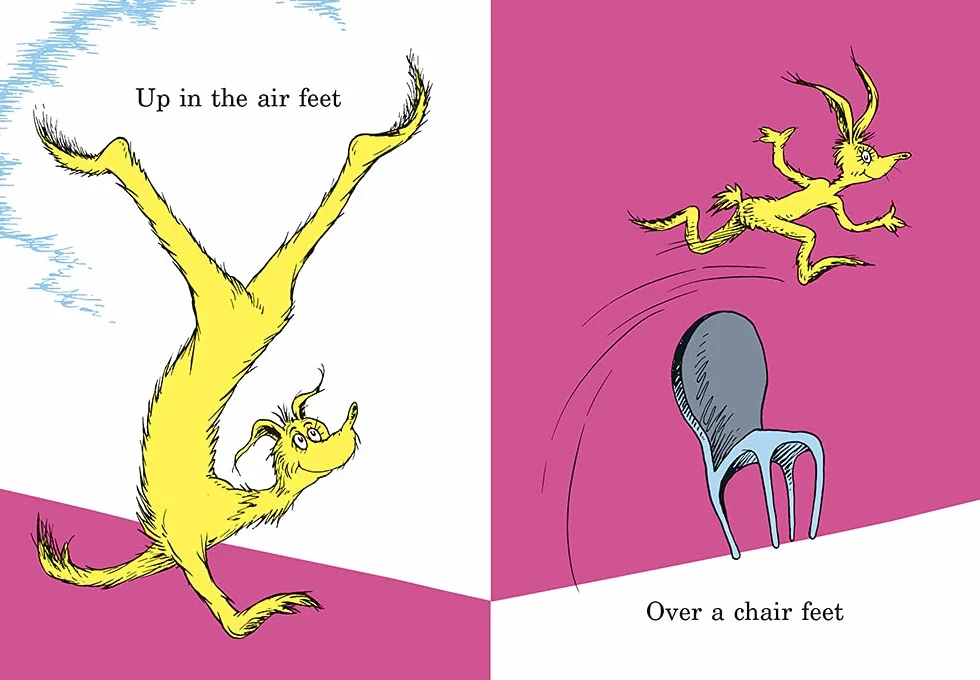 The Foot Book