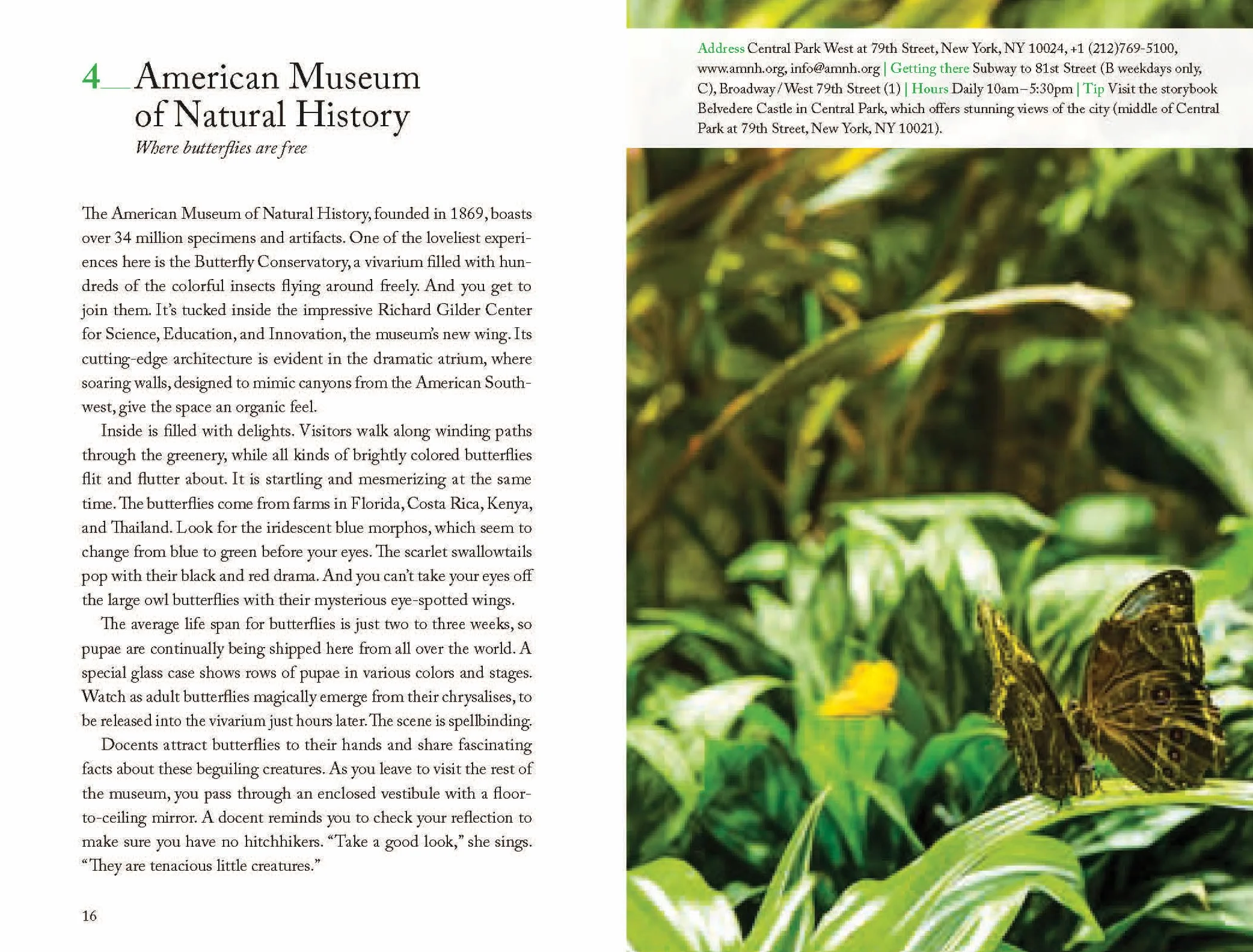 111 Museums in New York