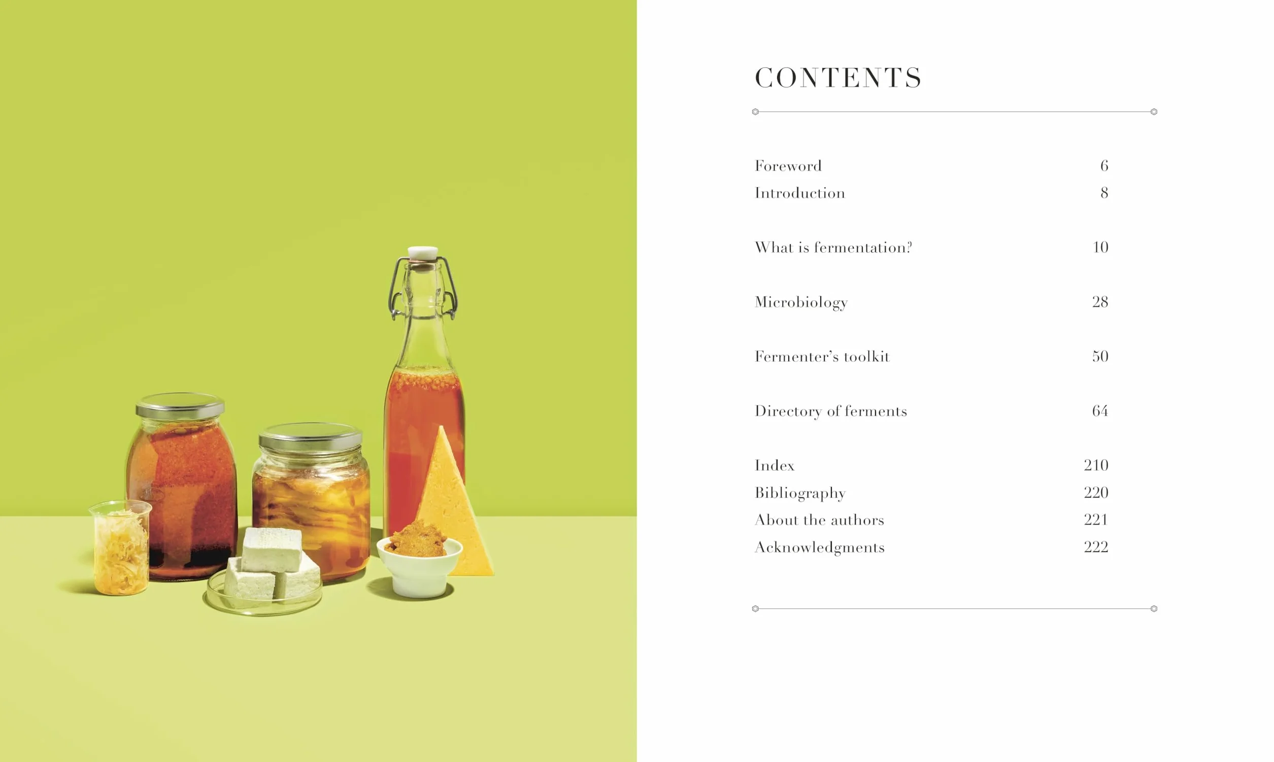 The Science of Fermentation: Explore the Fascinating Alchemy of Fermented Food and Drink