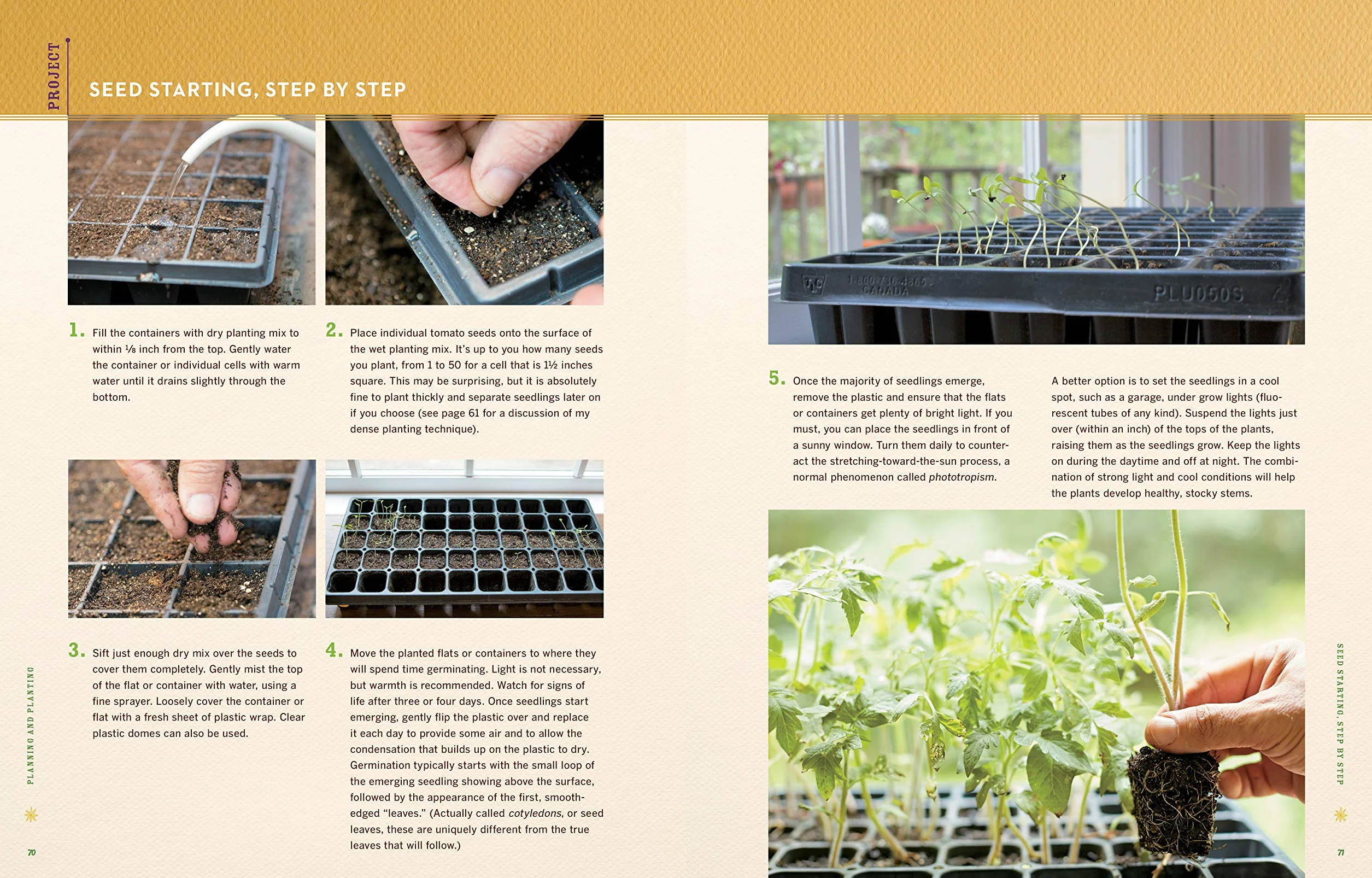 Epic Tomatoes: How to Select and Grow the Best Varieties
