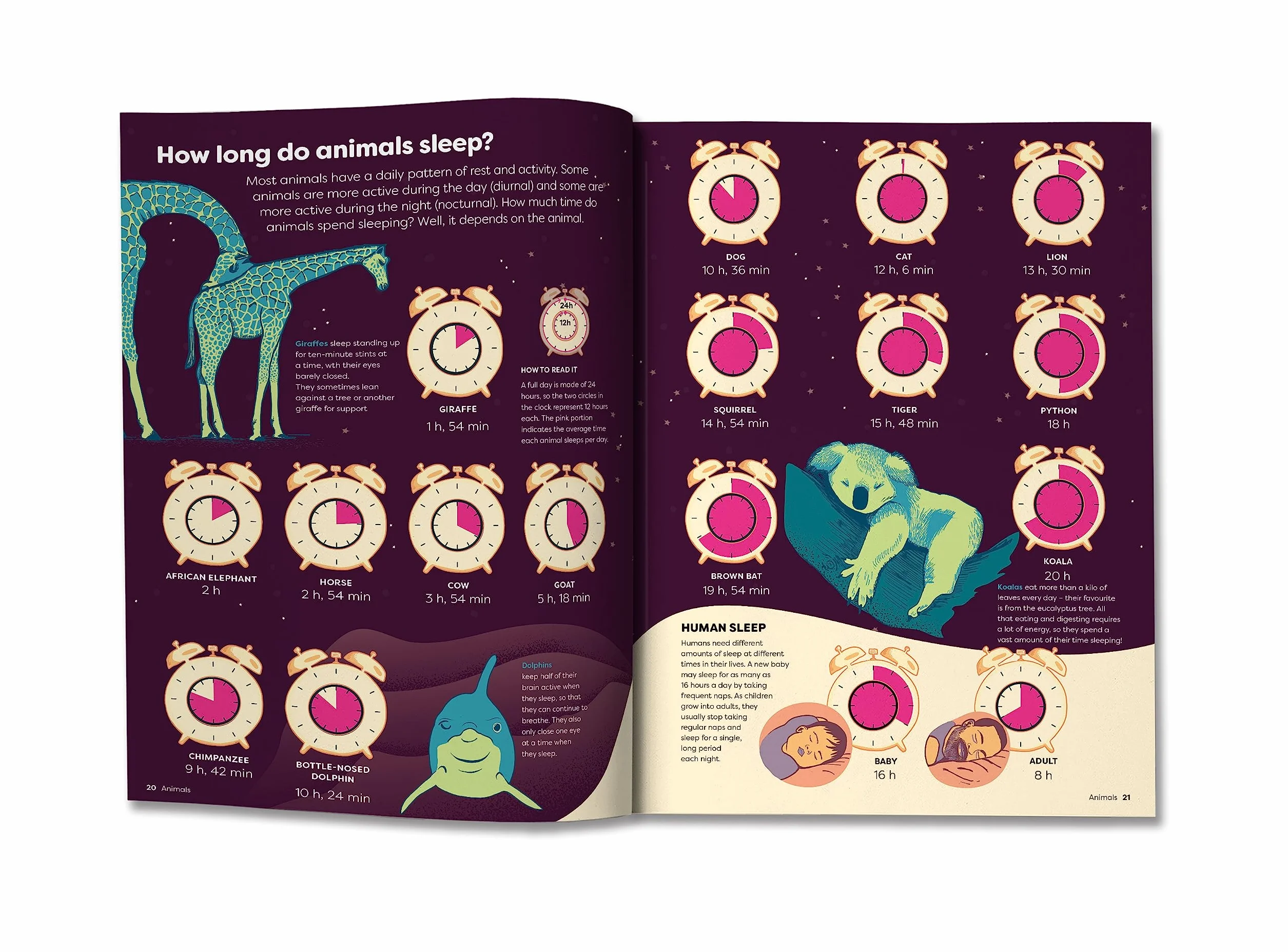 Britannica's Encyclopedia Infographica: 1,000s of Facts & Figures-about Earth, space, animals, the body, technology & more-Revealed in Pictures