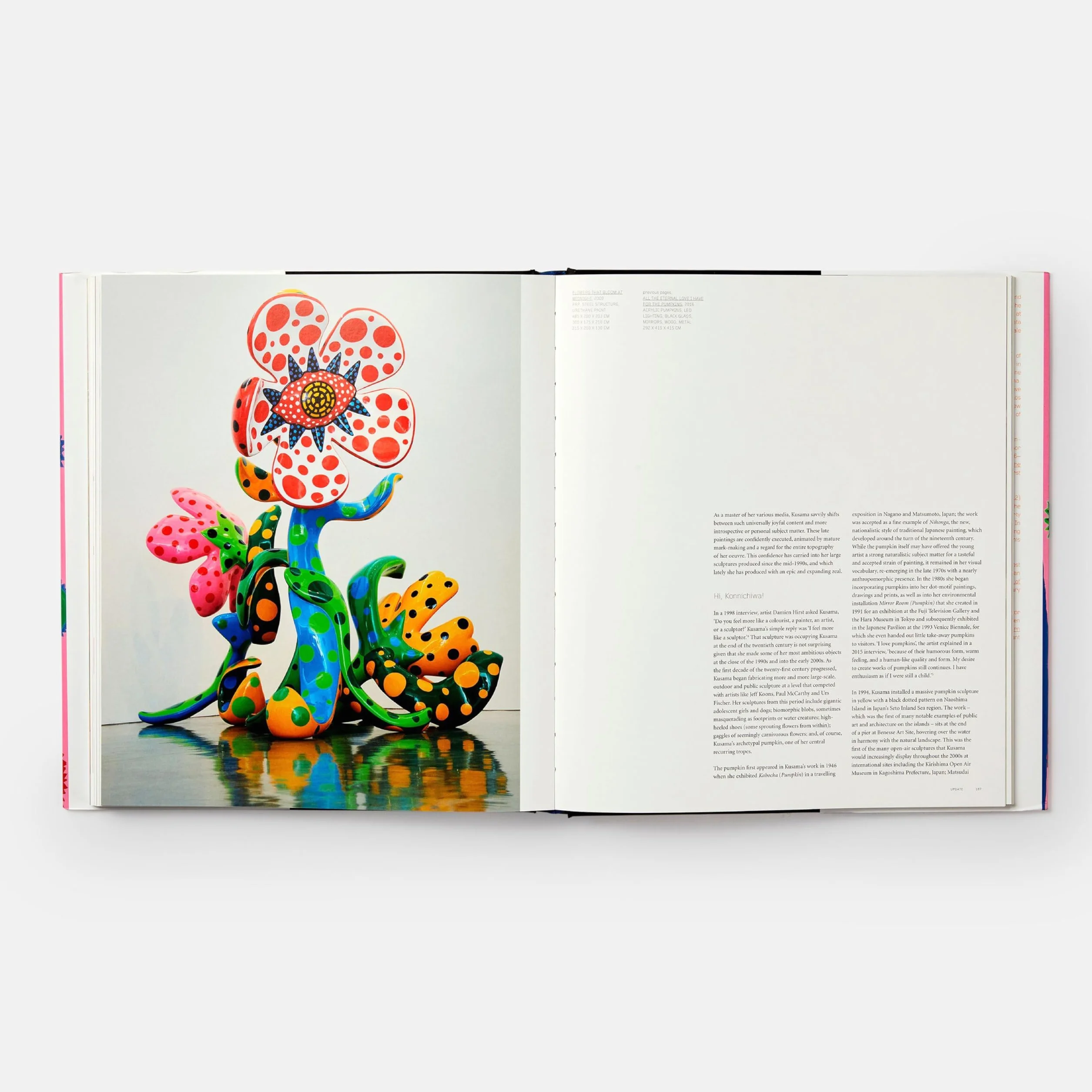 Yayoi Kusama: Revised & Expanded Edition