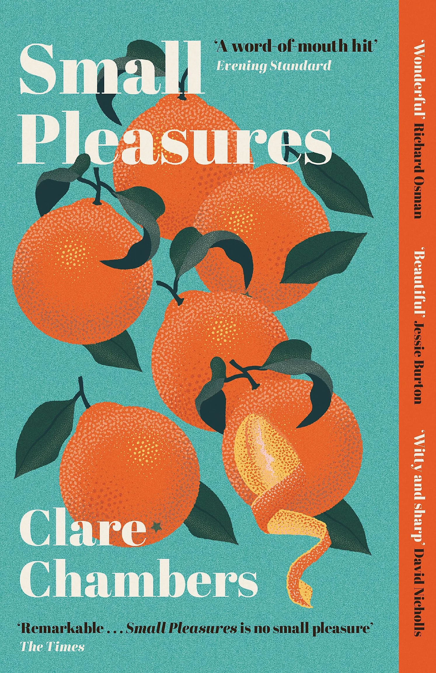 Small Pleasures: Longlisted for the Women's Prize for Fiction 2021
