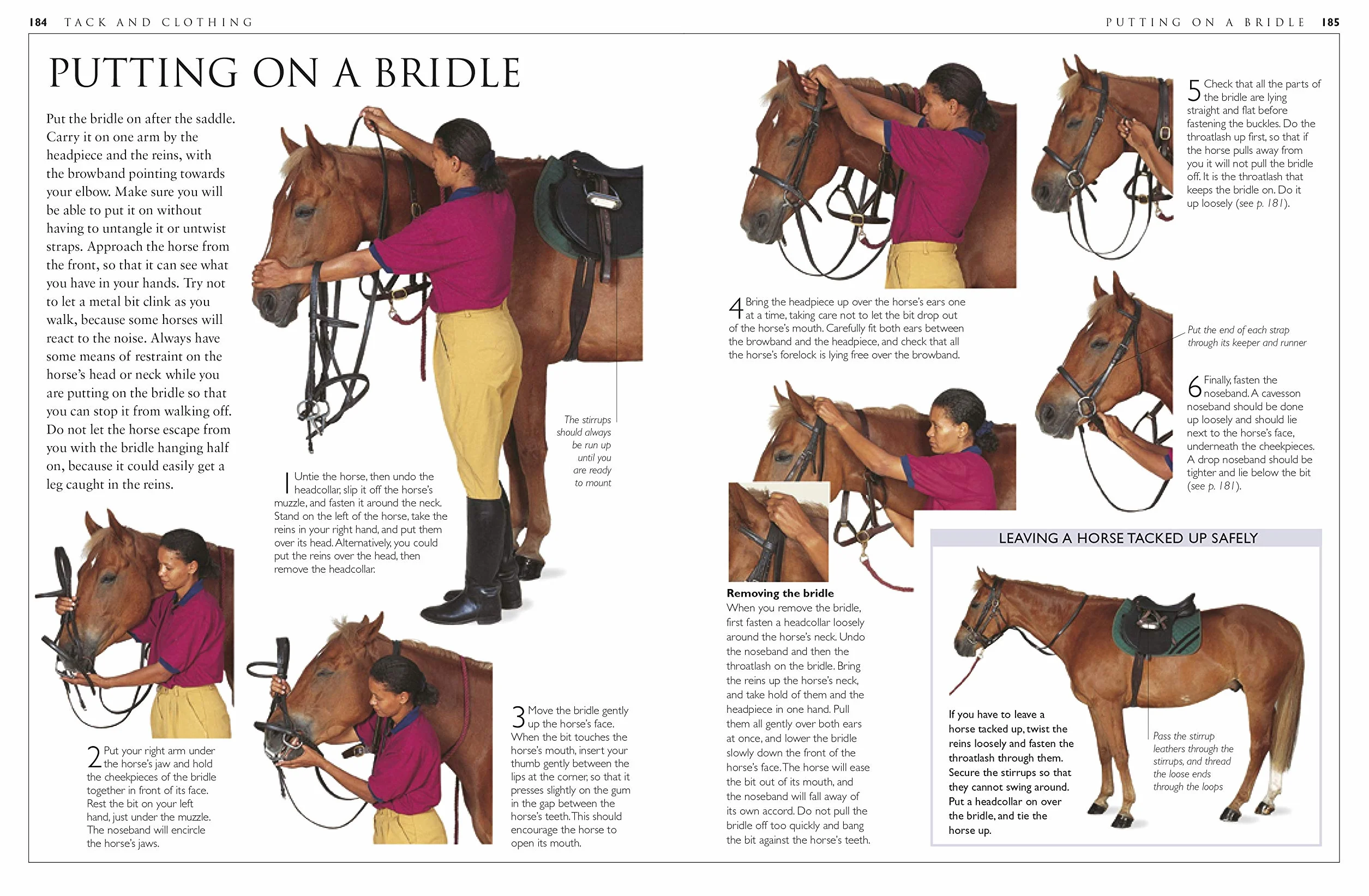 Complete Horse Care Manual