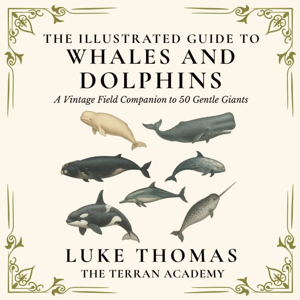 The Illustrated Guide to Whales and Dolphins: A Vintage Field Companion to 50 Gentle Giants