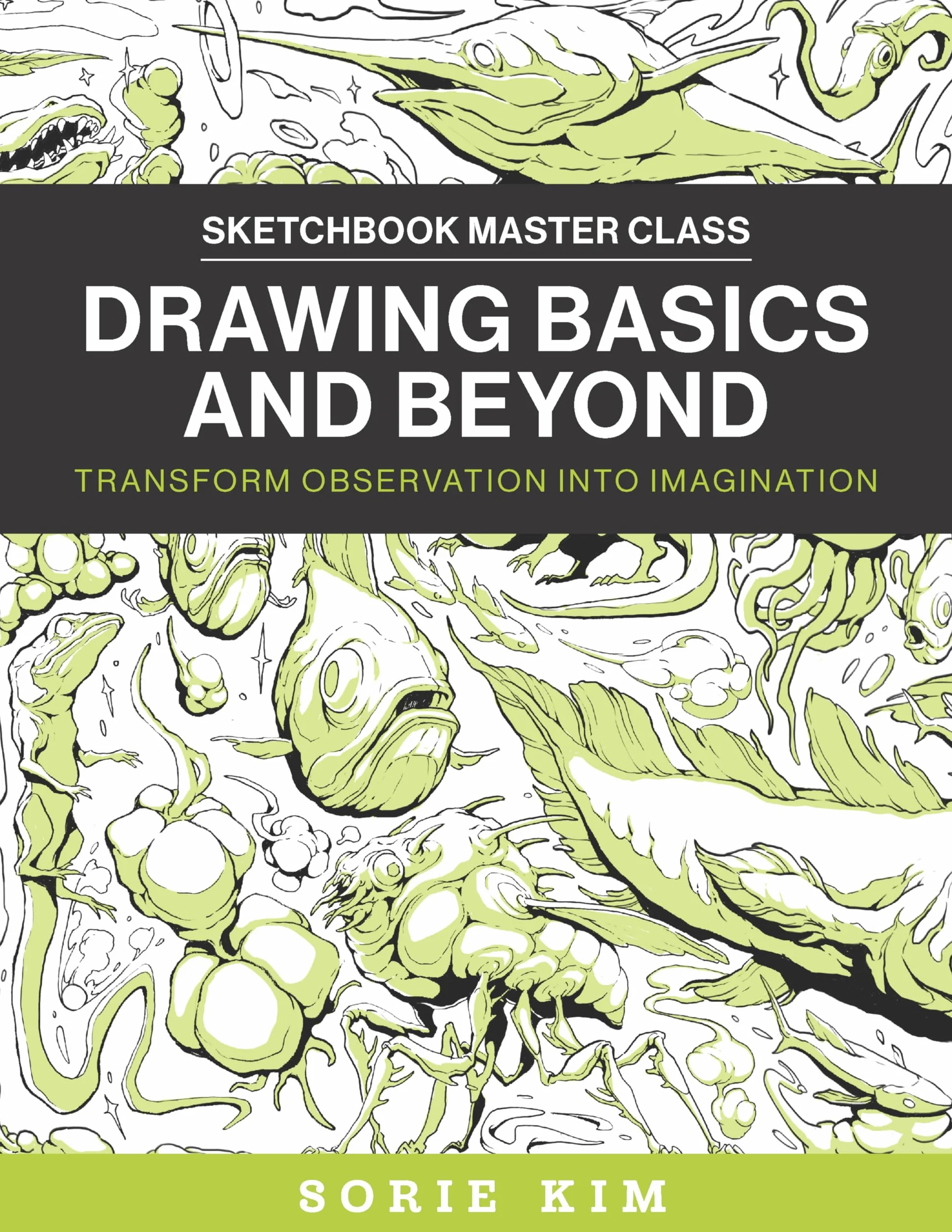 Drawing Basics and Beyond: Transform Observation Into Imagination