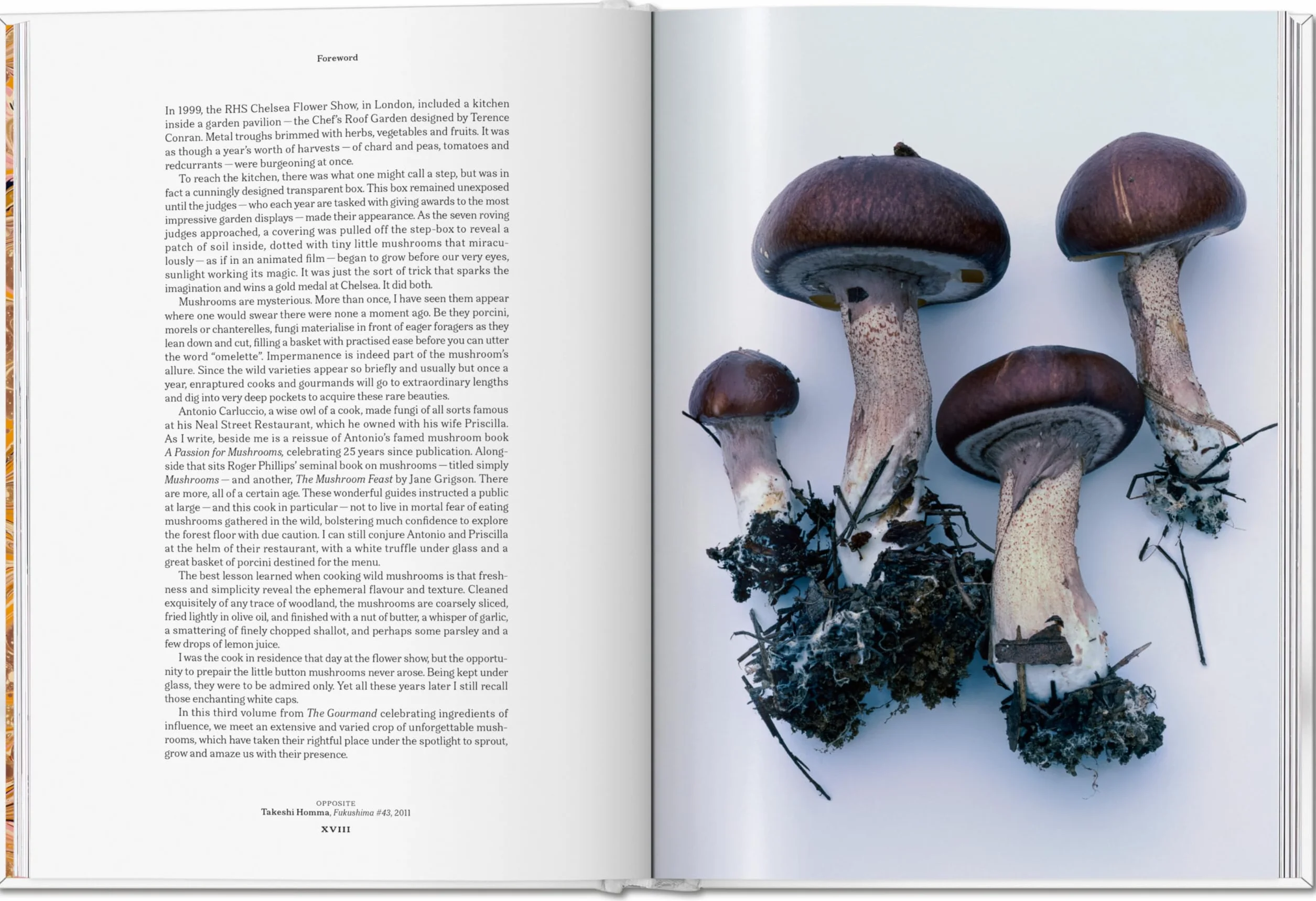 The Gourmand's Mushroom: A Collection of Stories & Recipes