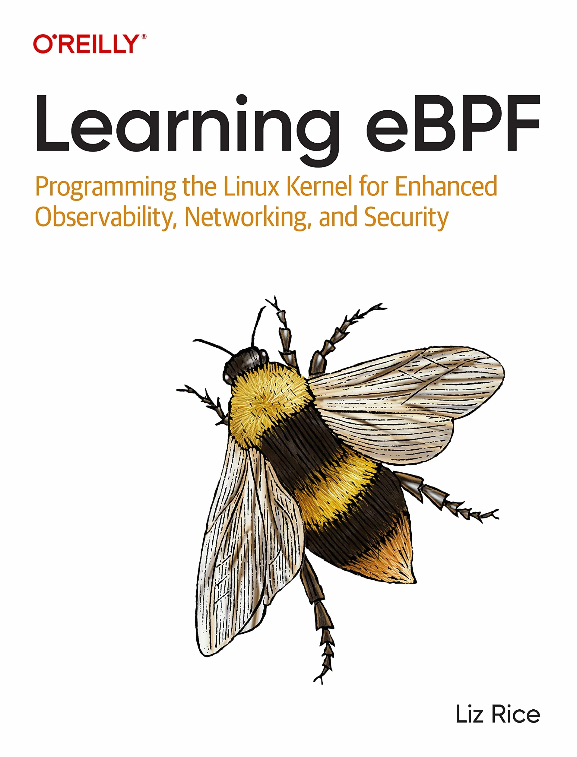 Learning eBPF: Programming the Linux Kernel for Enhanced Observability, Networking, and Security