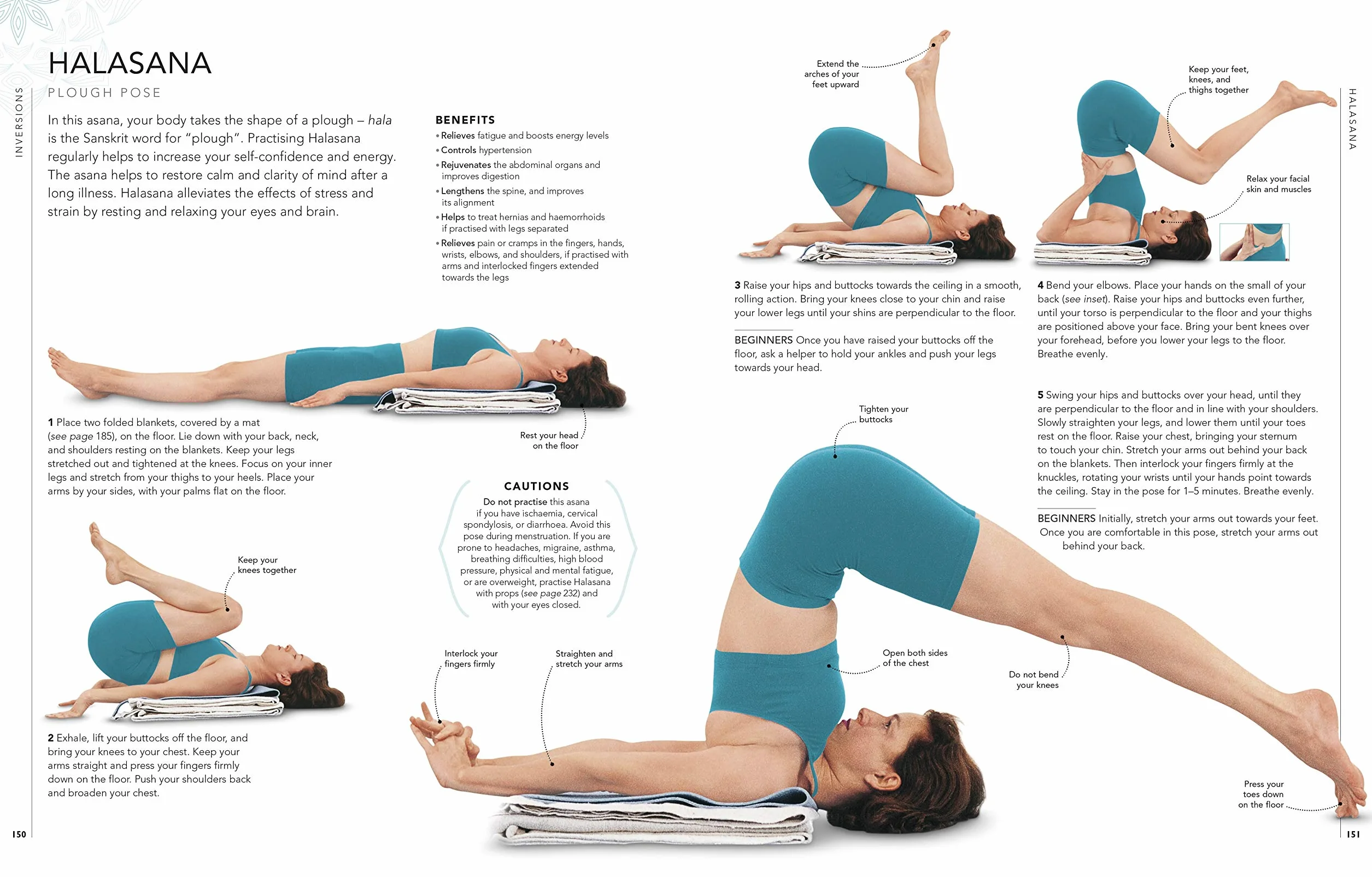 B.K.S. Iyengar Yoga The Path to Holistic Health: The Definitive Step-by-step Guide