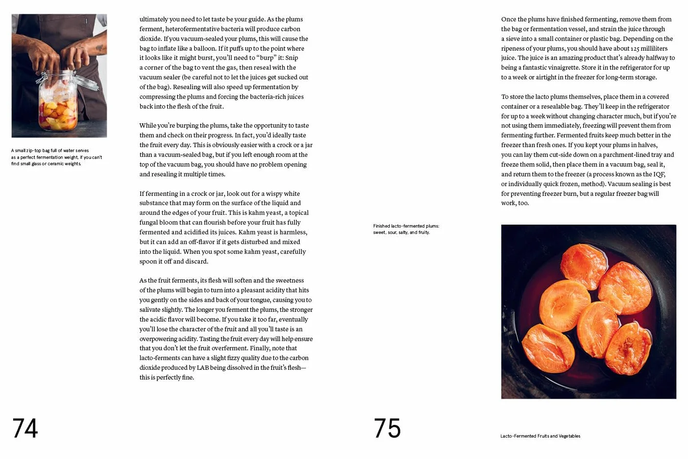 The Noma Guide to Fermentation: Koji, Kombuchas, Shoyus, Misos, Vinegars, Garums, Lacto-Ferments, Black Fruits & Vegetables