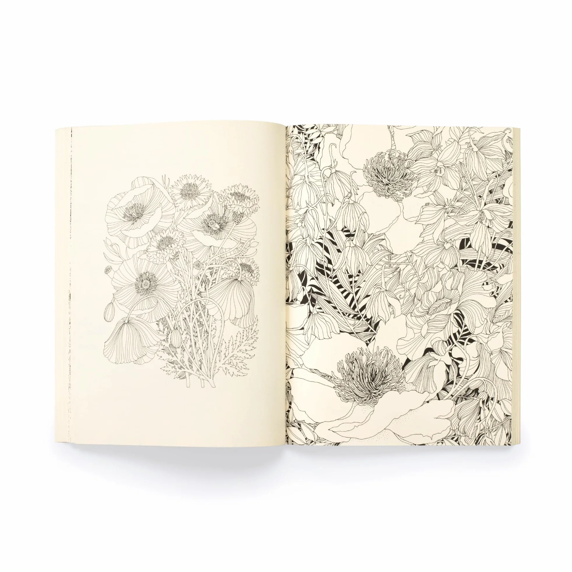 Floribunda Year: A Flower Colouring Companion