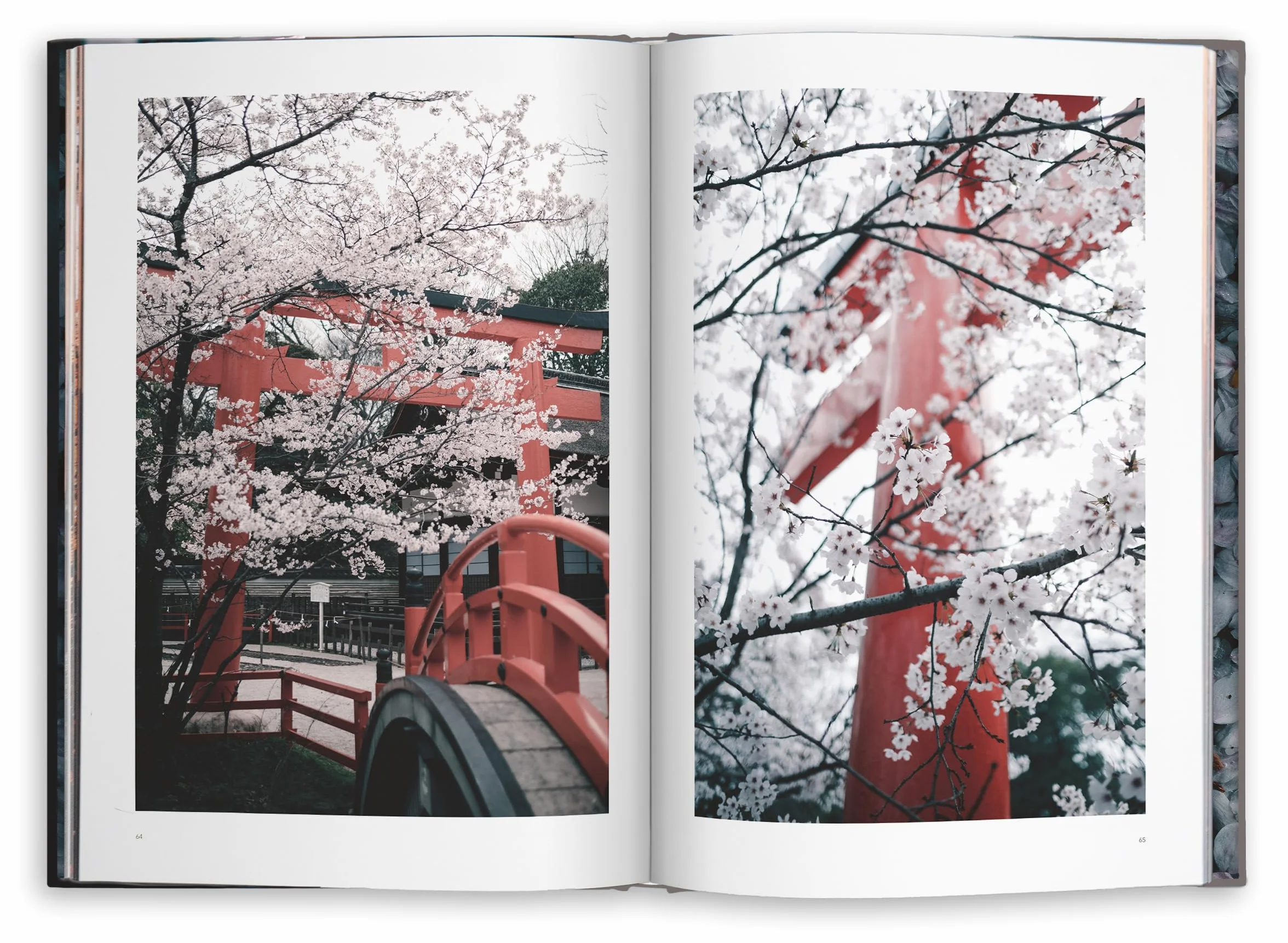 Kyoto Dreaming
