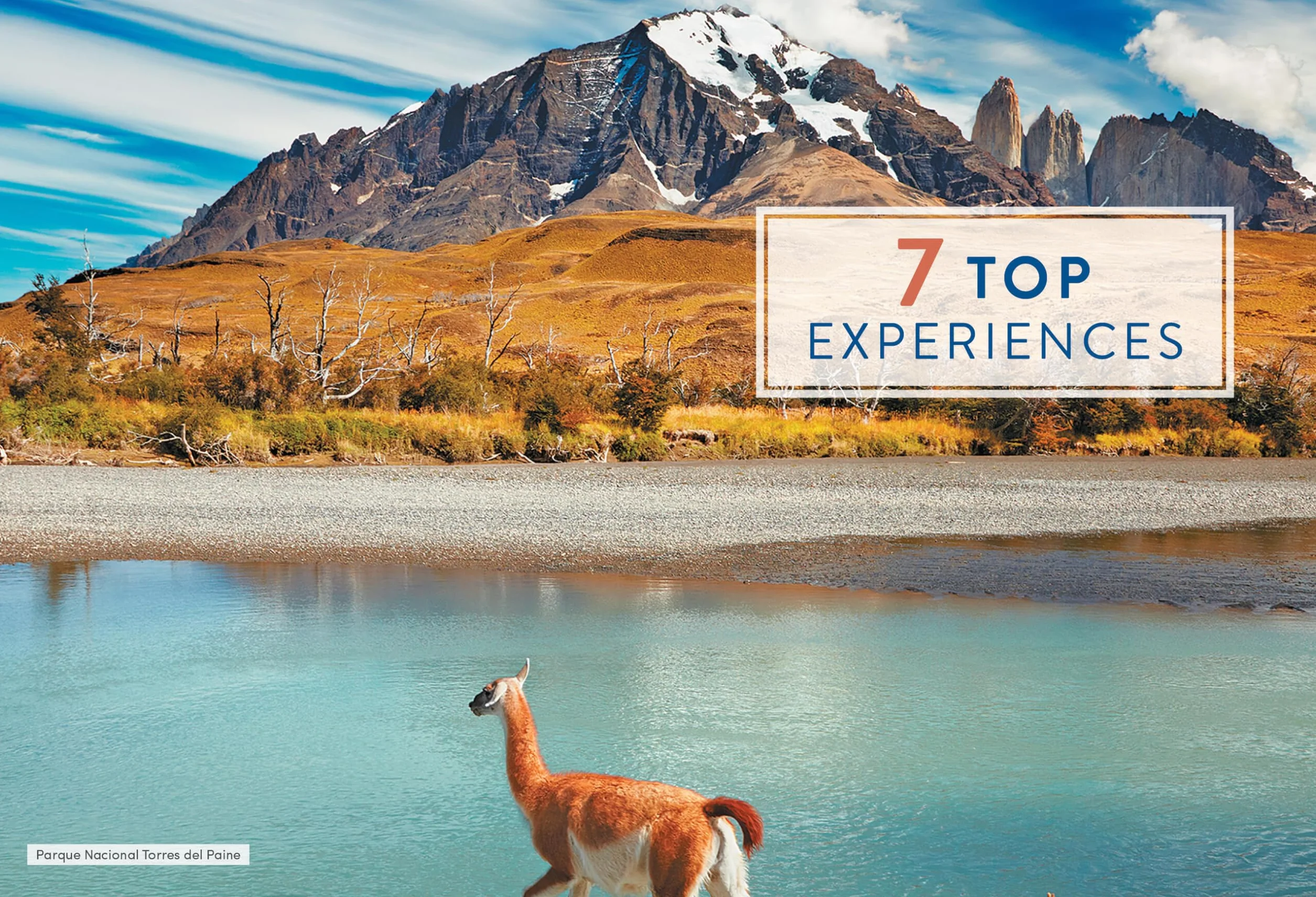 Moon Patagonia: National Parks in Argentina & Chile Fjords Glaciers Road Trips