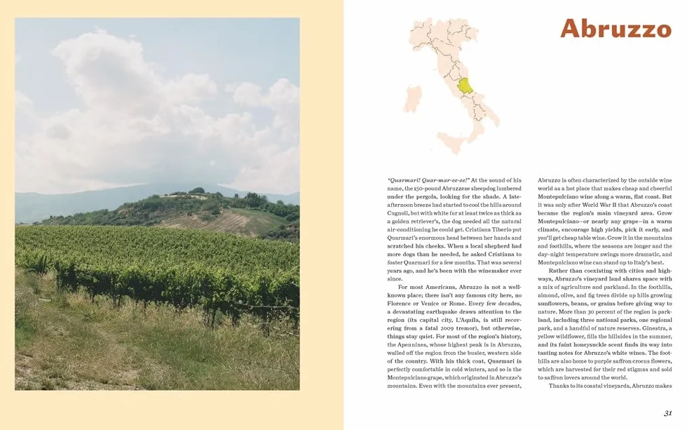Italian Wine History, Regions, and Grapes of an Iconic Wine Country