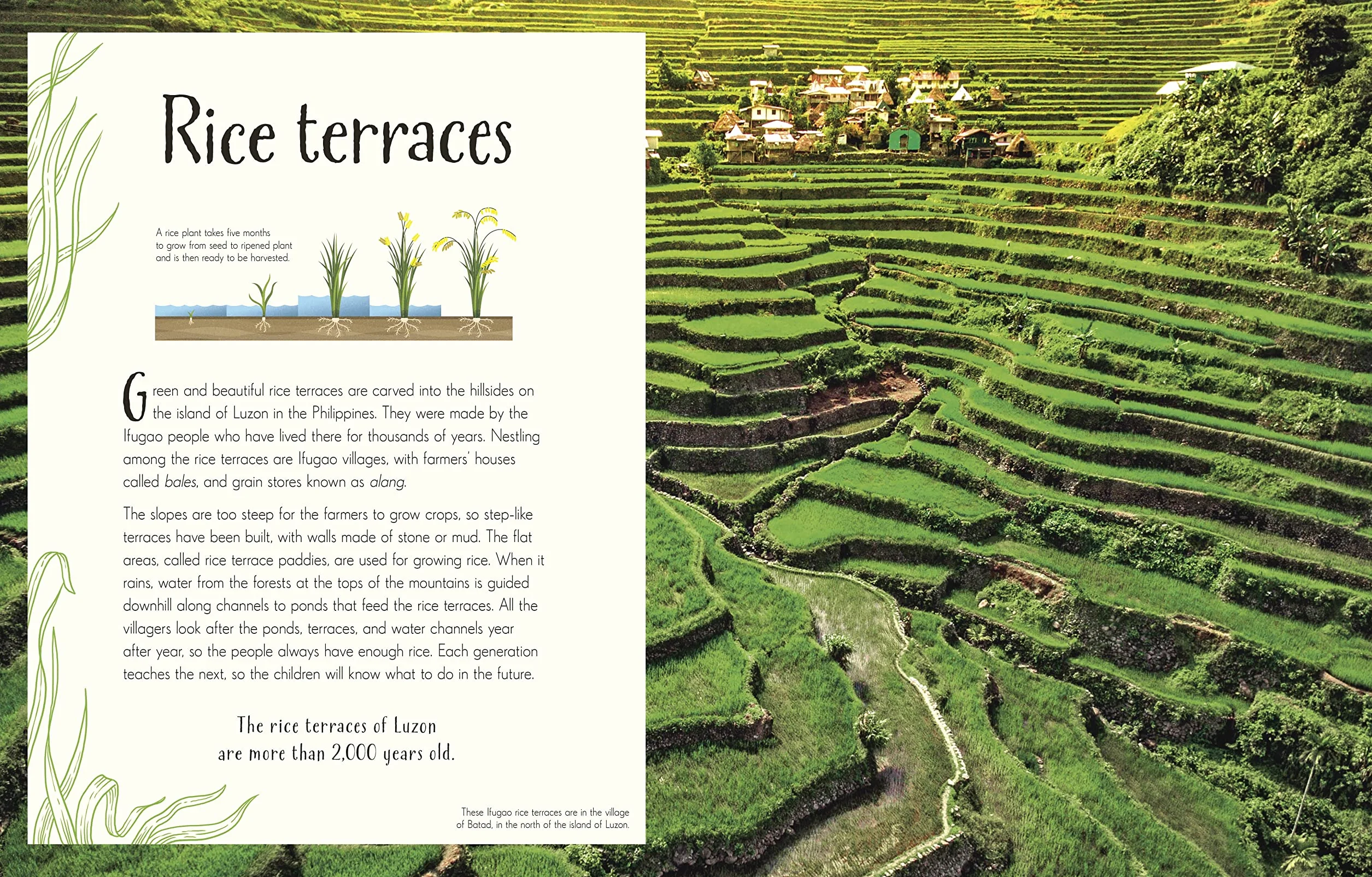 An Anthology of Our Extraordinary Earth: Discover the Awe-Inspiring Wonders of Planet Earth