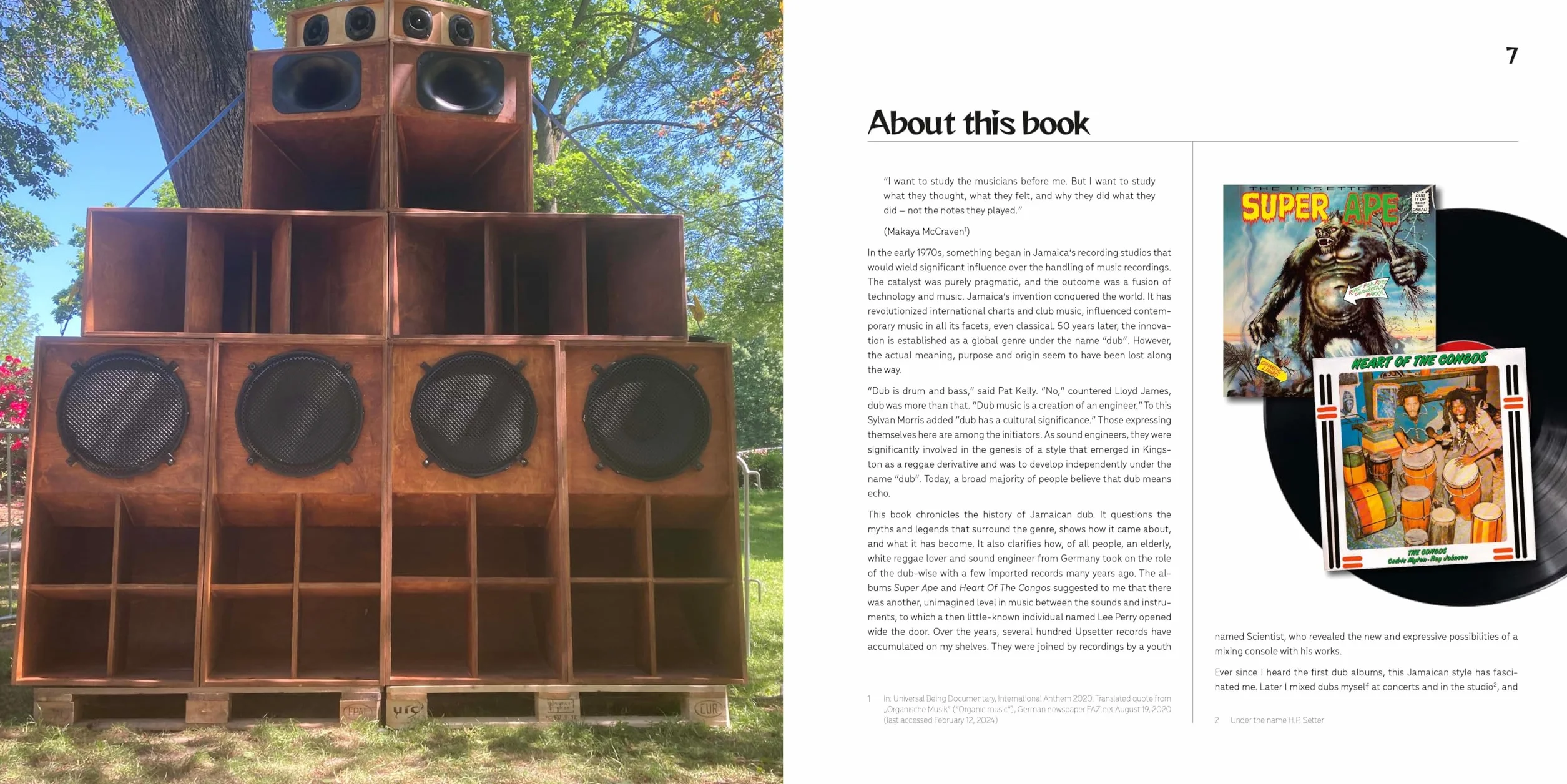 Dub: The Sound of Surprise: History of Jamaican Dub Music