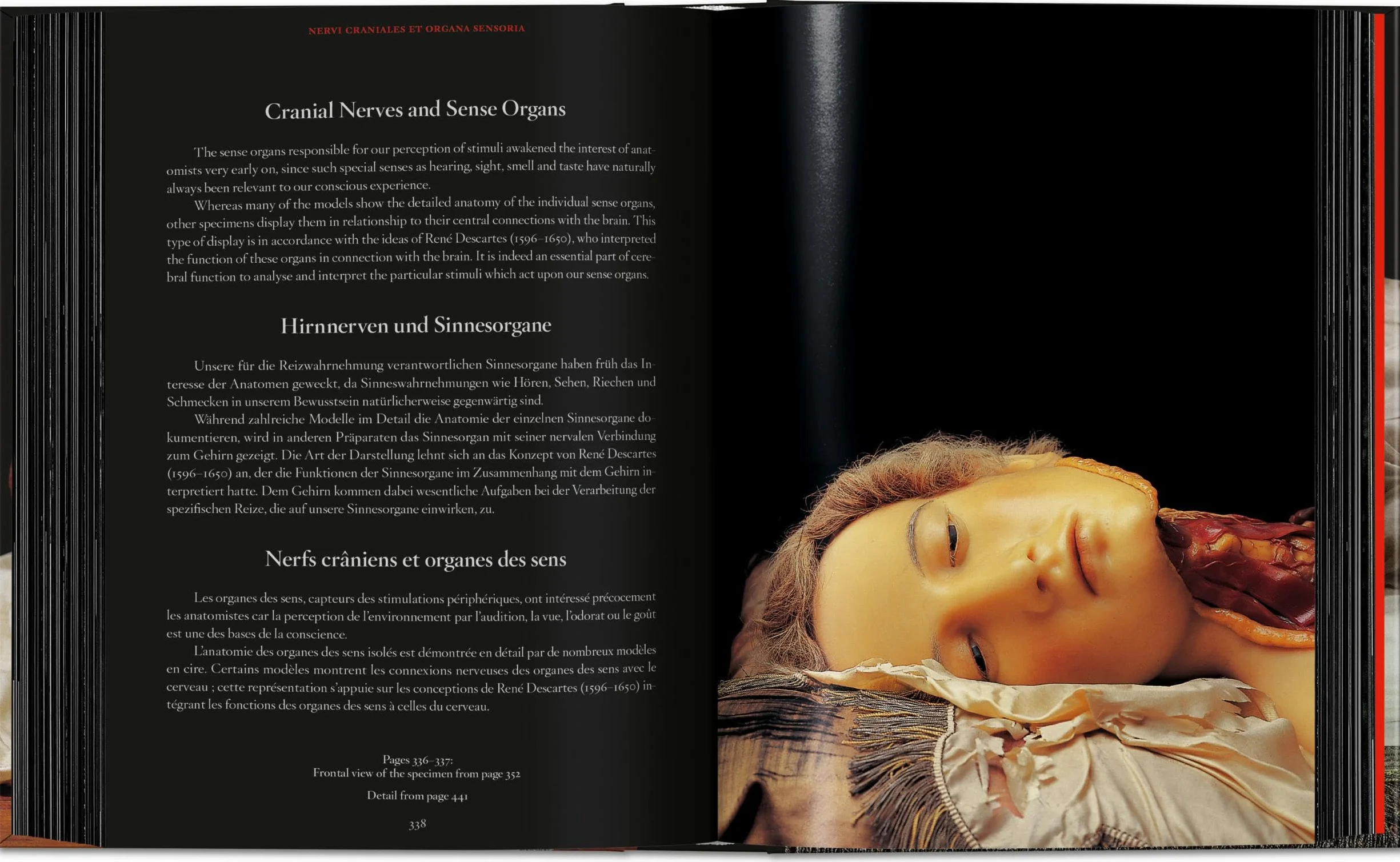 Anatomical Waxes. 45th Ed.