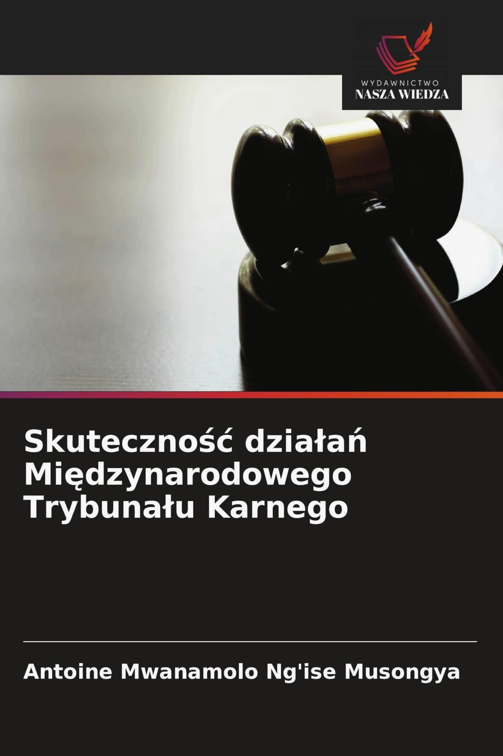 Skuteczno¿¿ dzia¿a¿ Mi¿dzynarodowego Trybuna¿u Karnego
