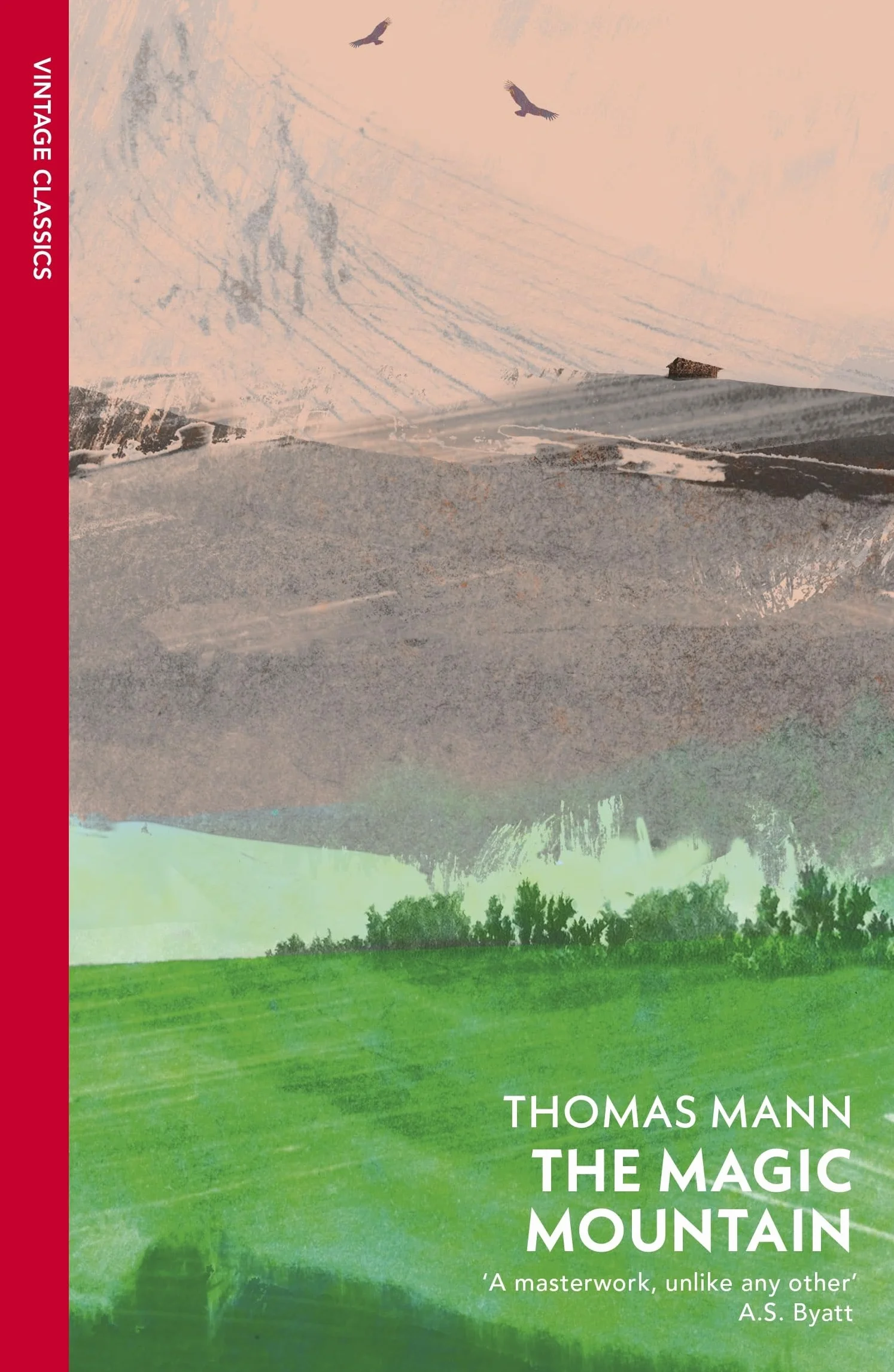 The Magic Mountain: As Seen on BBC Between the Covers