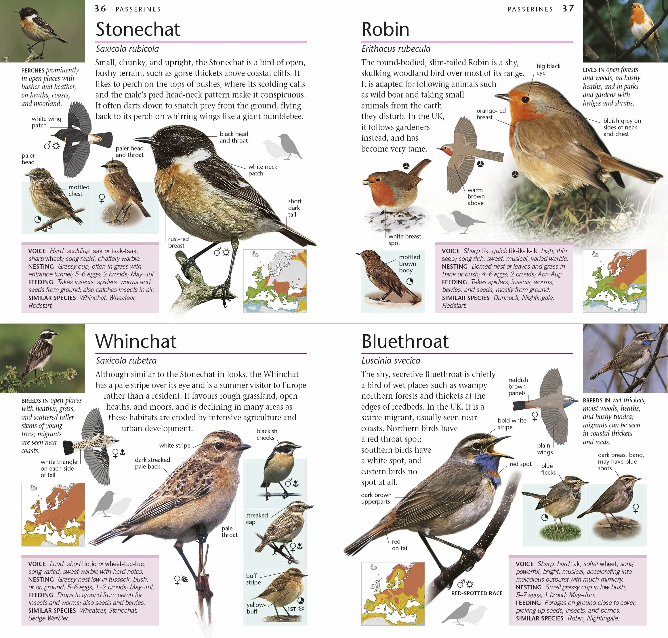 RSPB Pocket Birds of Britain and Europe 5th Edition