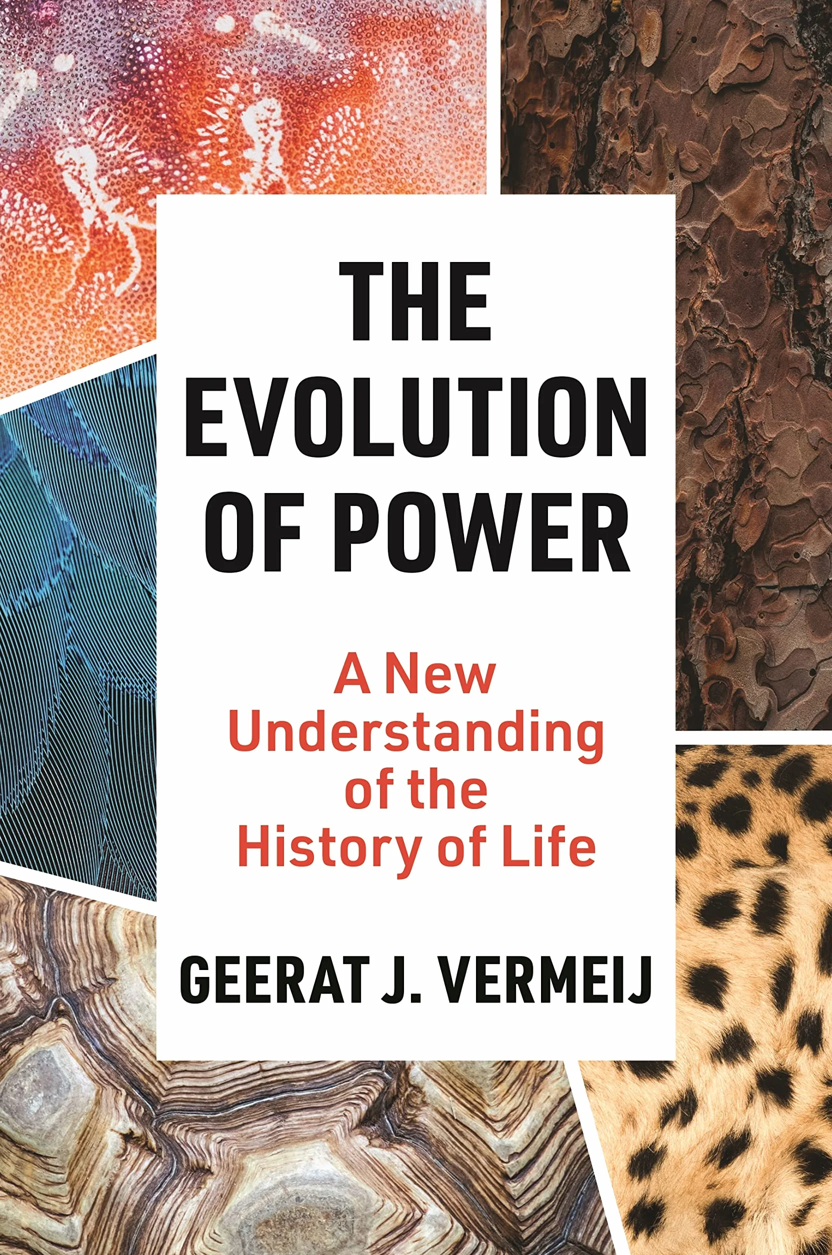 The Evolution of Power: A New Understanding of the History of Life