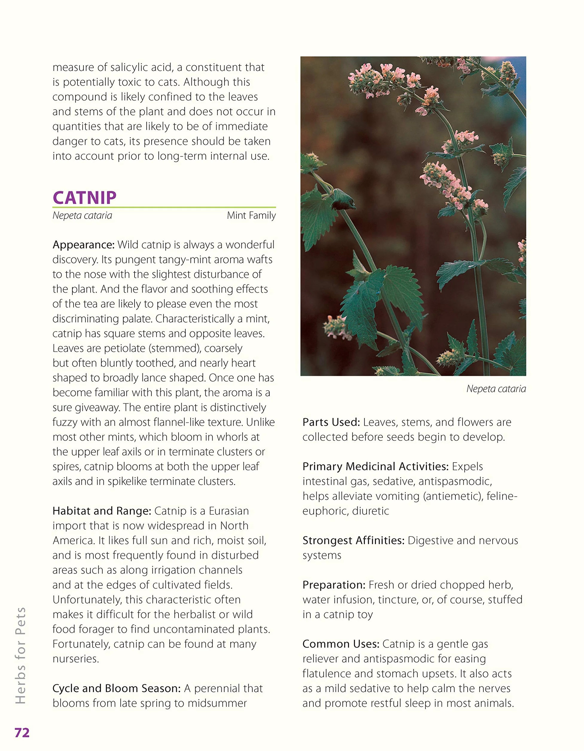 Herbs for Pets: The Natural Way to Enhance Your Pet's Life