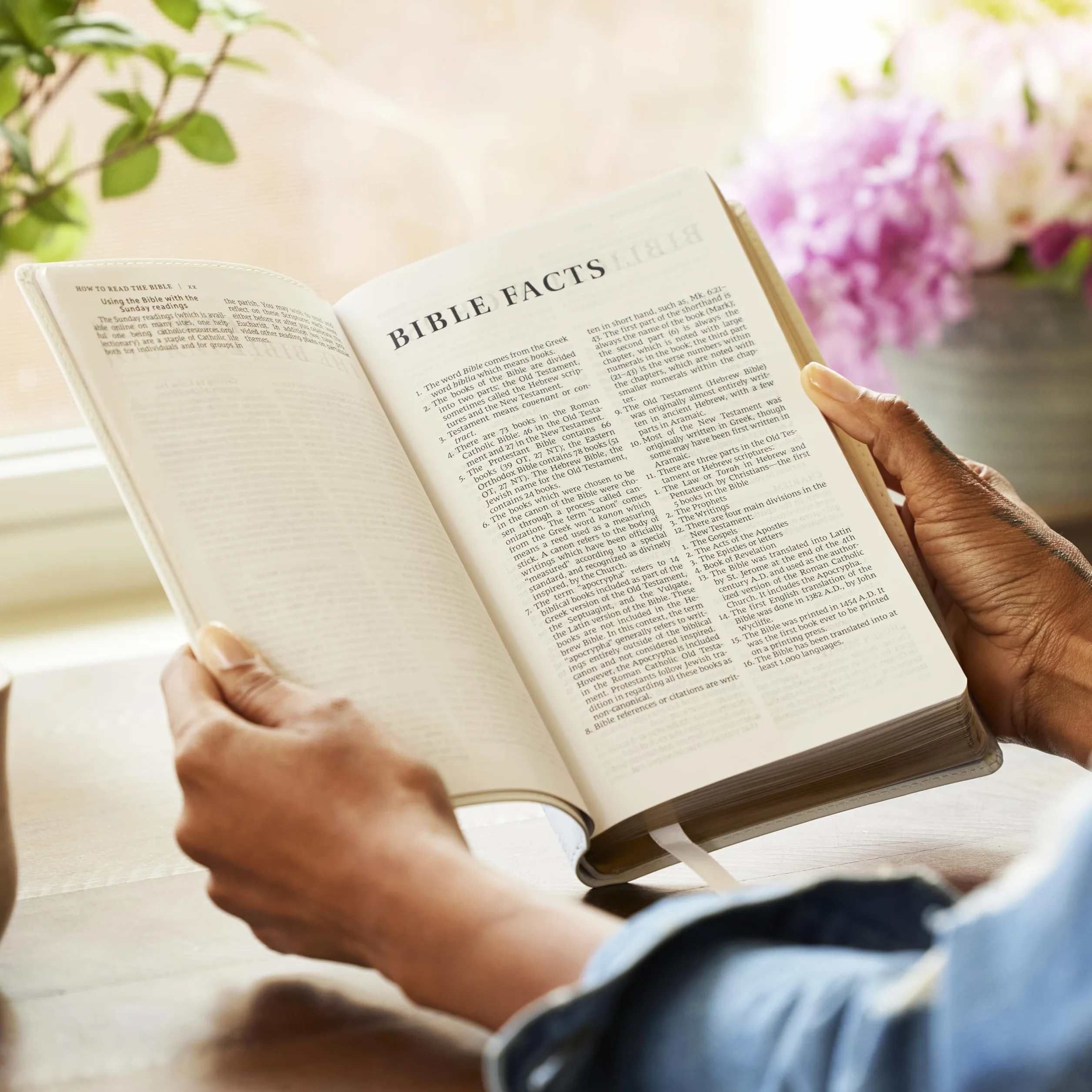 Catholic Bible, Leathersoft, White, Comfort Print, Nrsv, Gift Edition