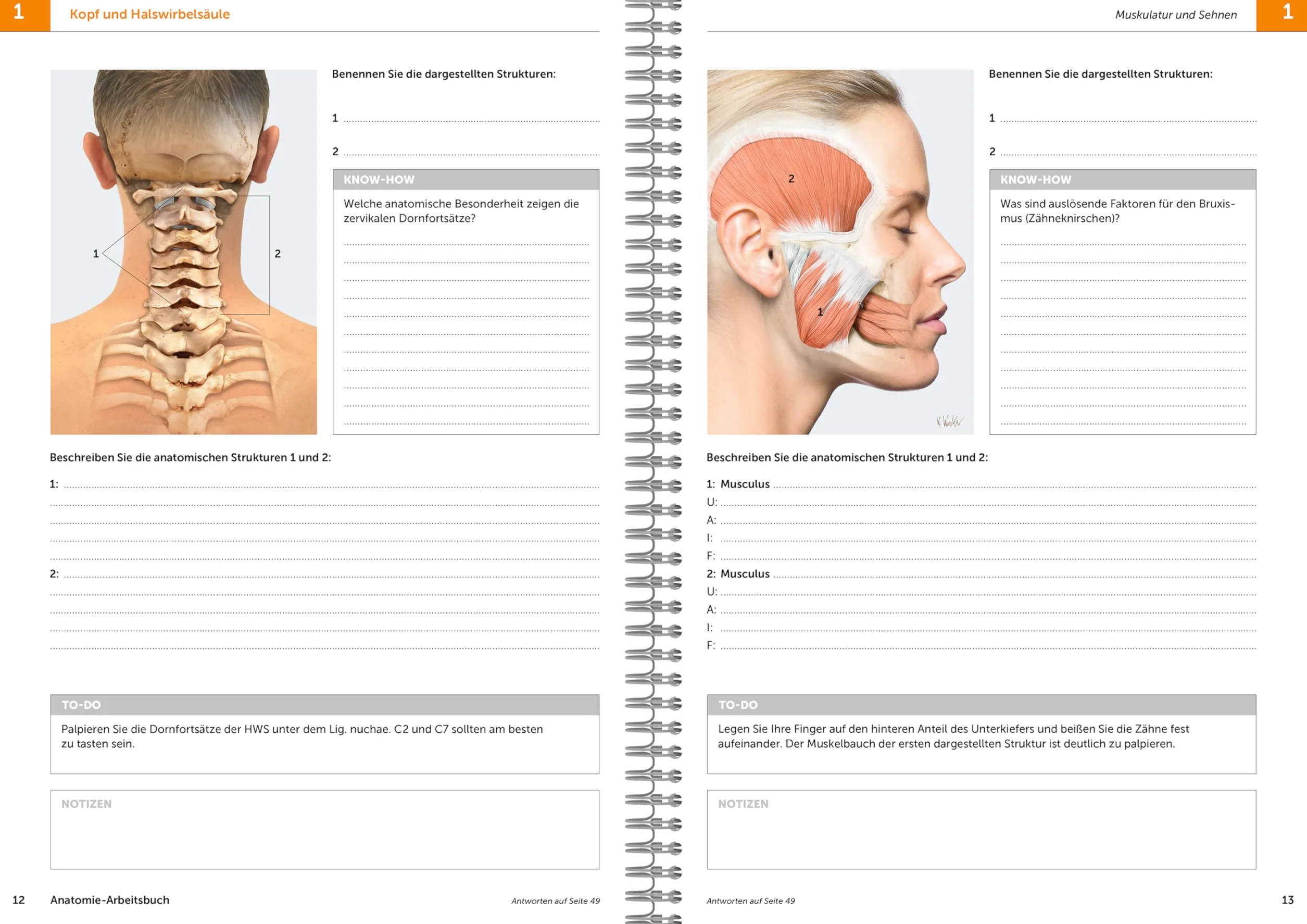 Anatomie-Arbeitsbuch: Anatomie aktiv erfahren und verstehen