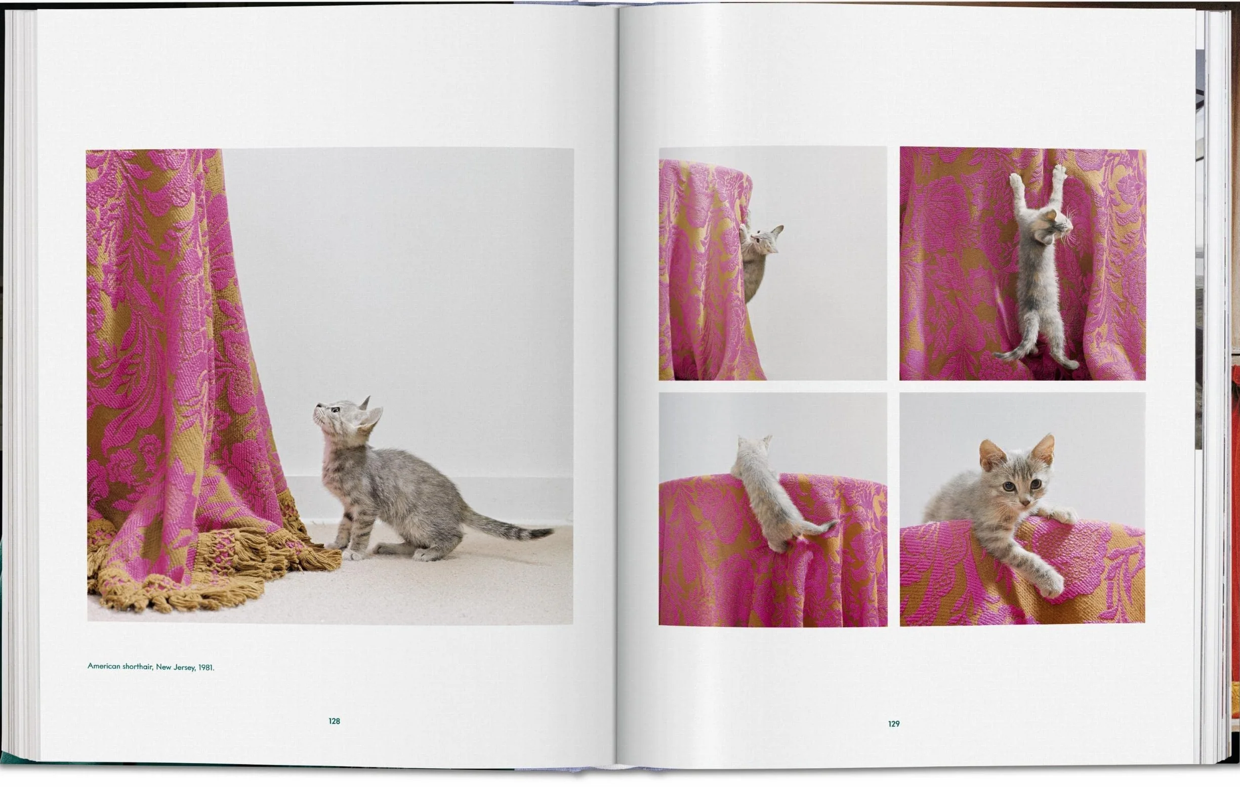 Cats Photographs 1942-2018