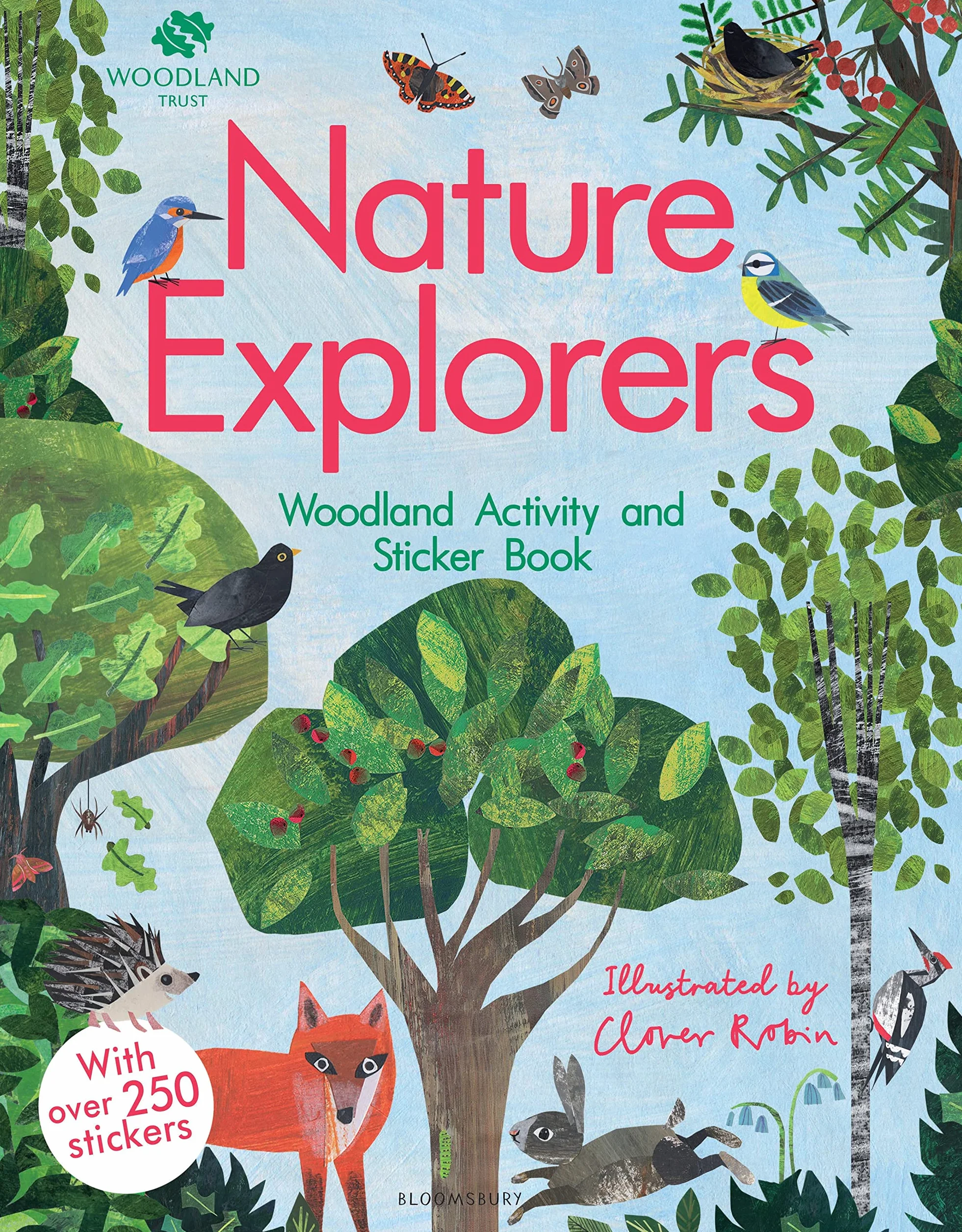 Nature Explorers Woodland Activity and Sticker Book