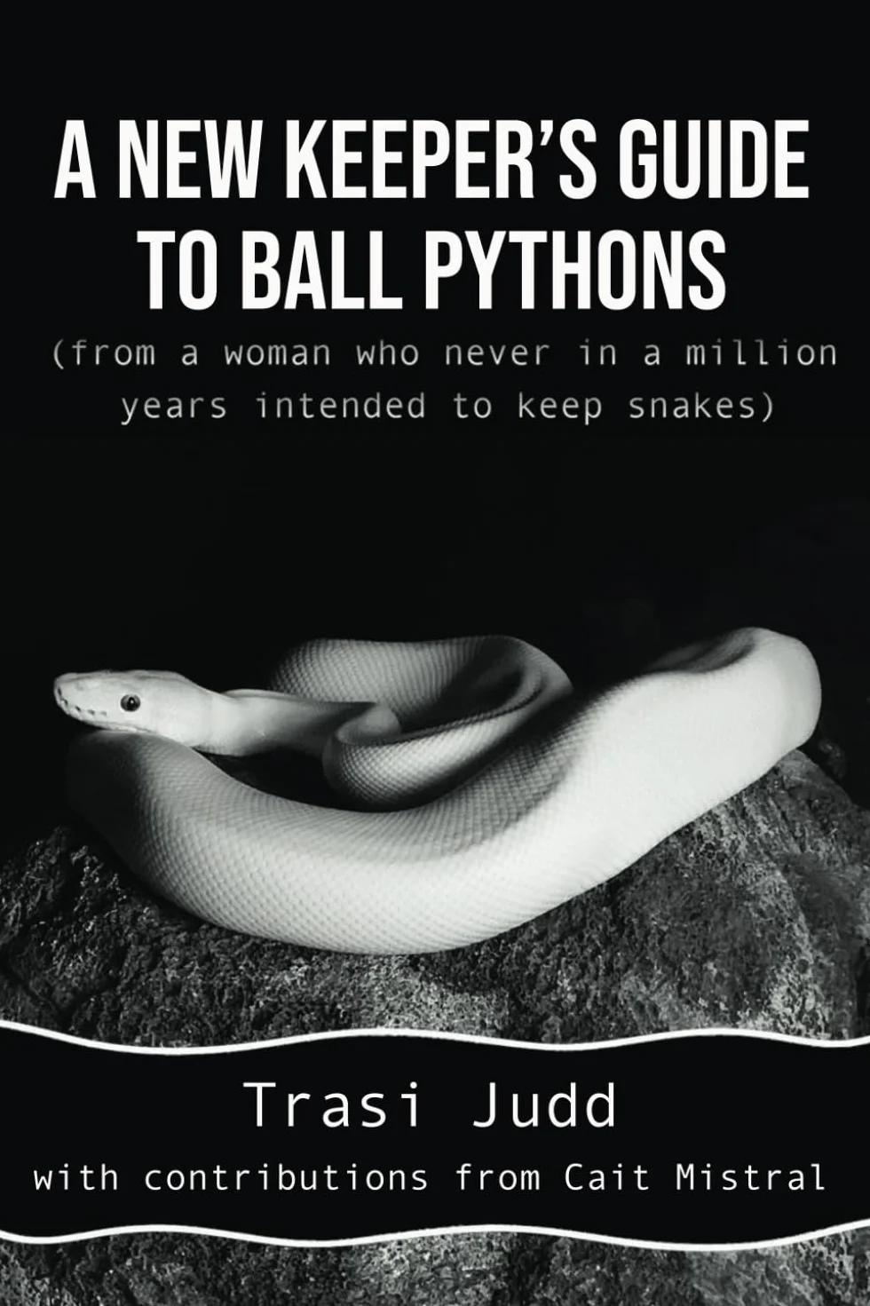 Ball Pythons Guide for Beginners: Care Tips & Setup