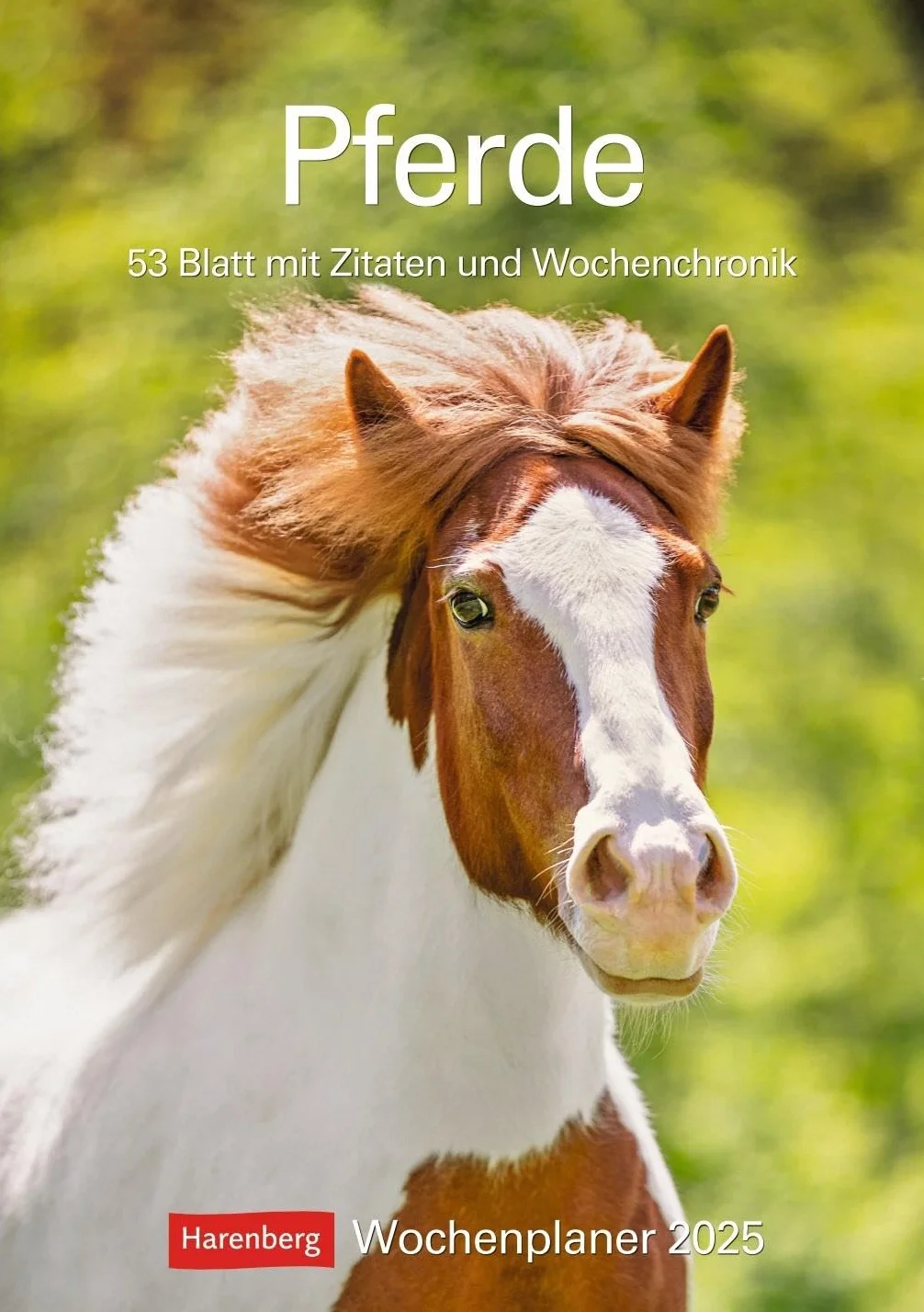 Pferde Wochenplaner 2025 - 53 Blatt mit Zitaten und Wochenchronik: Wochenkalendarium, Zitate und Pferdefotos in einem praktischen Termin-Kalender. ... Fotokalender mit Raum für Notizen
