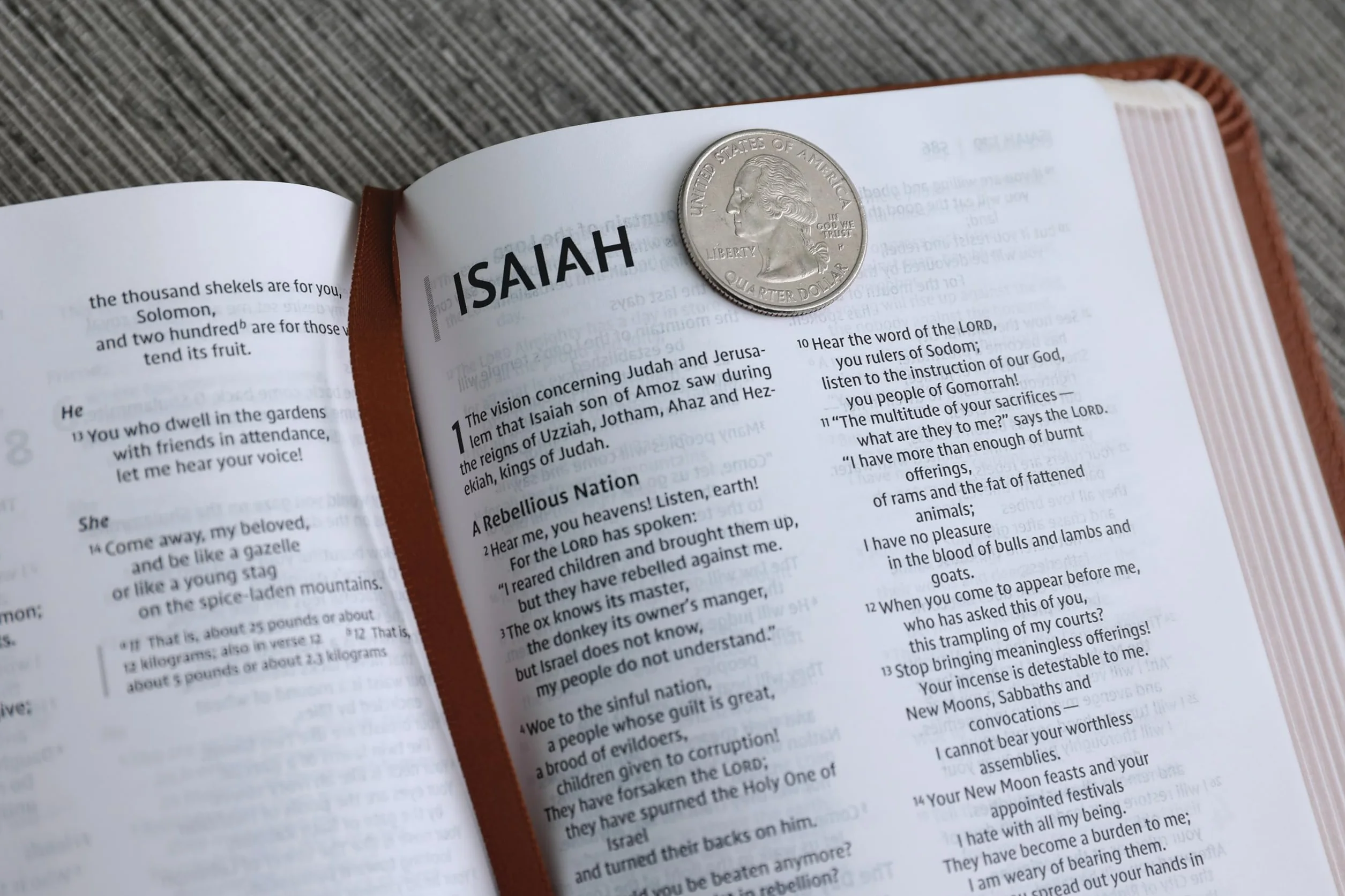 Niv Thinline Bible Leathersoft Brown Red Letter Comfort Print New International Version
