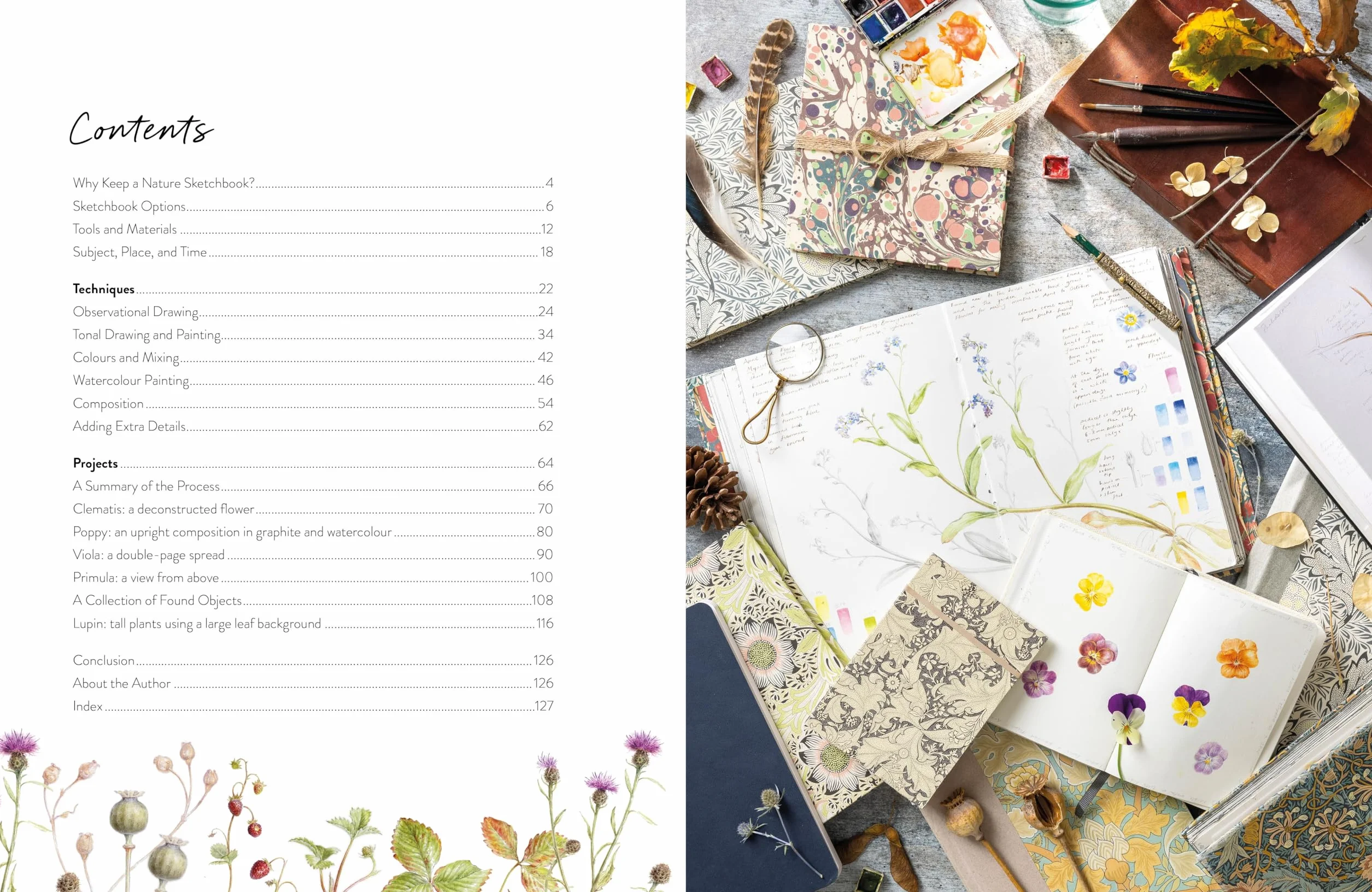Sketching Nature: The Beginner's Guide to Keeping a Botanical Sketchbook