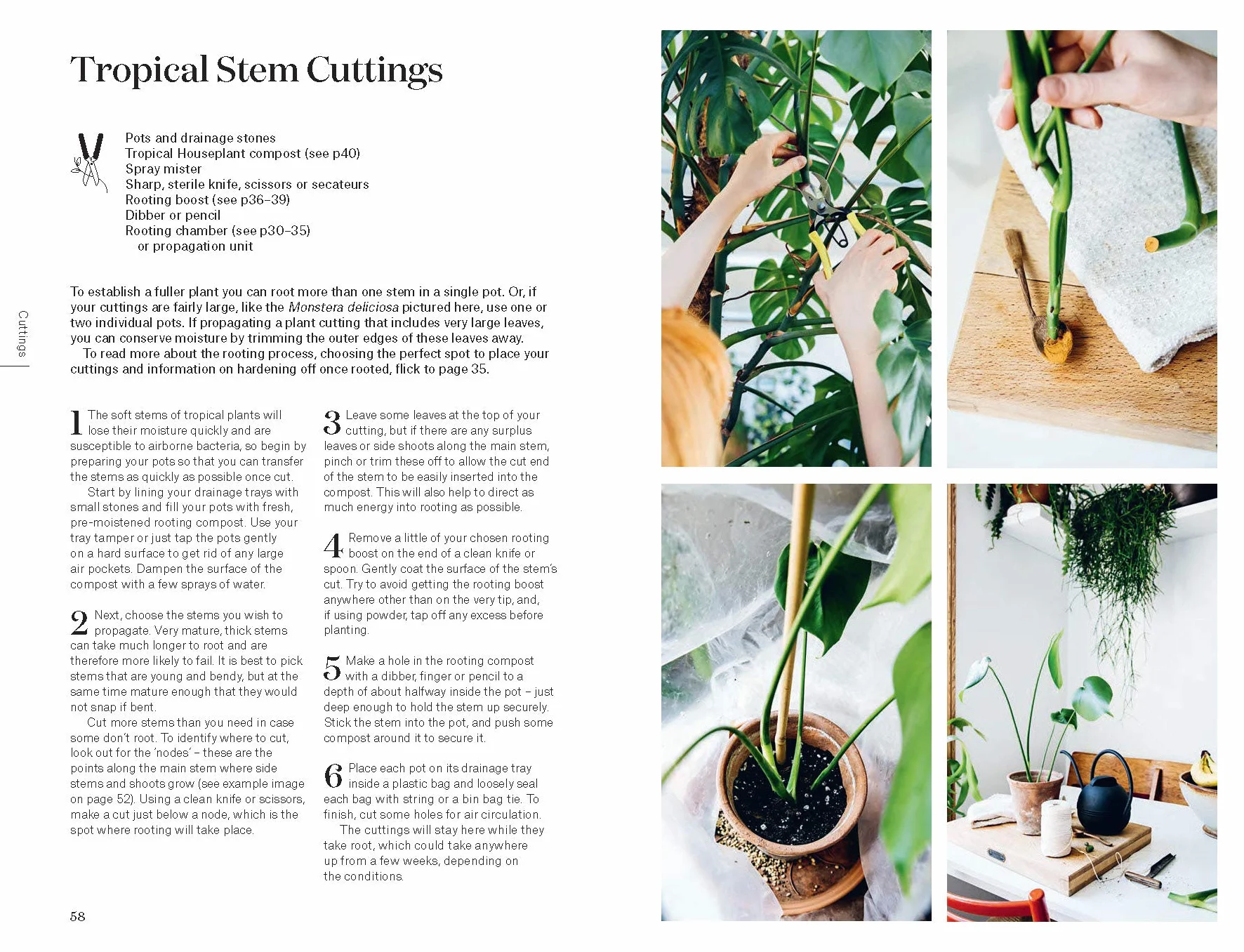 Root, Nurture, Grow: The Essential Guide to Propagating and Sharing Houseplants