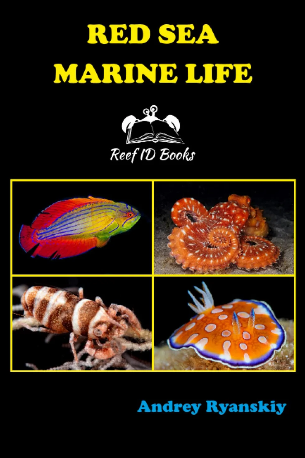 Red Sea Marine Life
